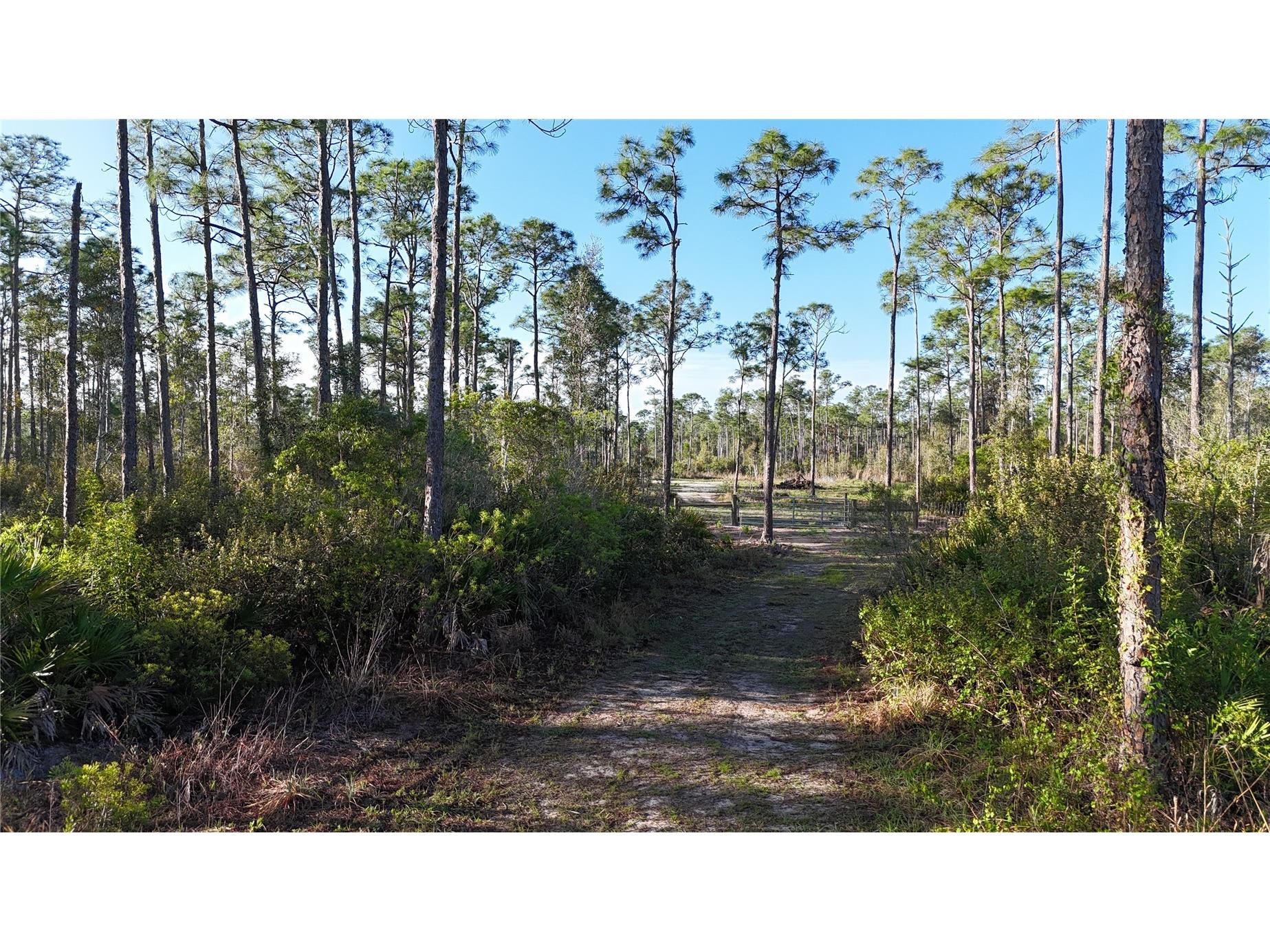14350 Burnt Store Road Punta Gorda FL 33955 OM722181 image5