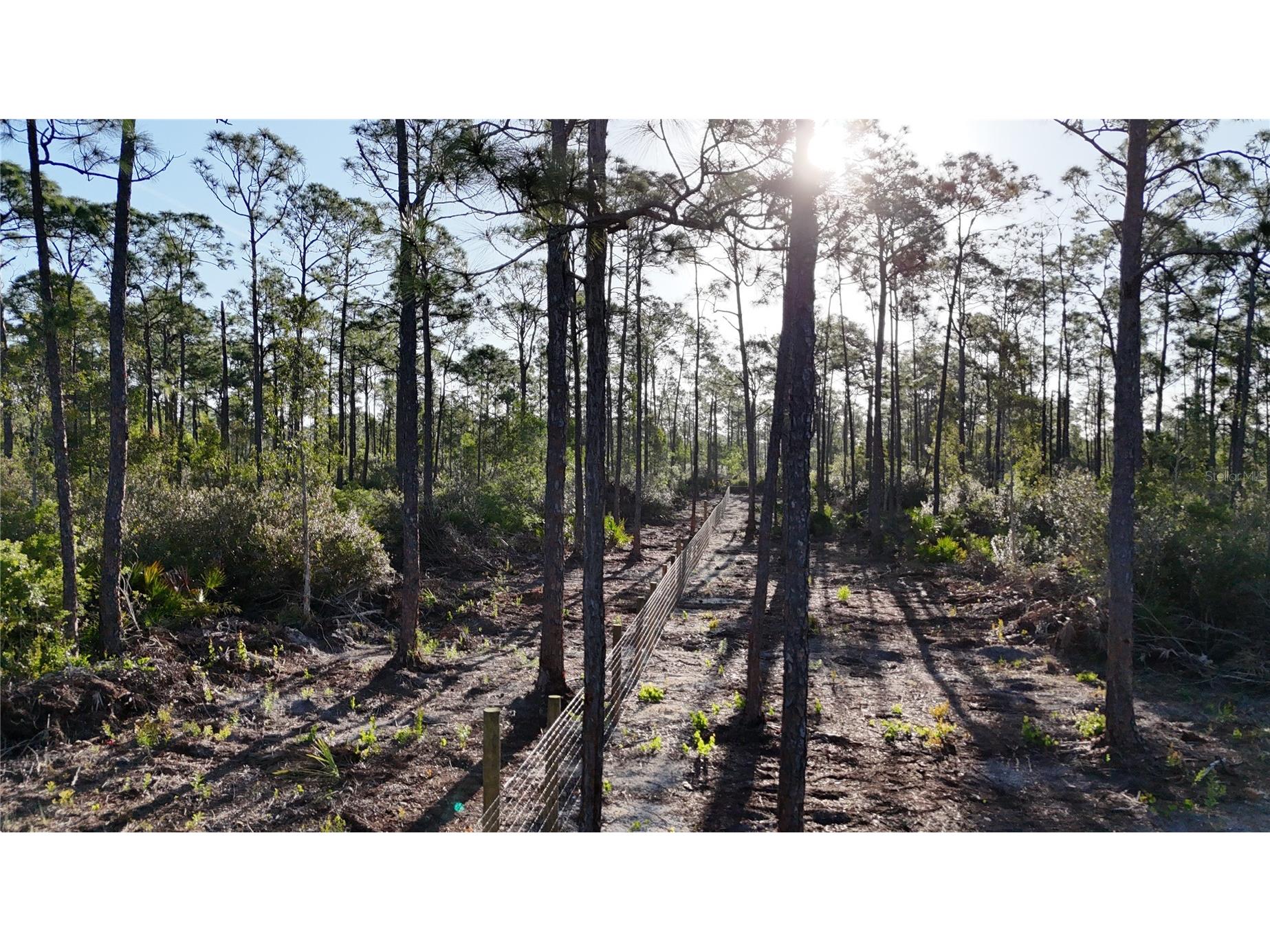 14350 Burnt Store Road Punta Gorda FL 33955 OM722181 image8