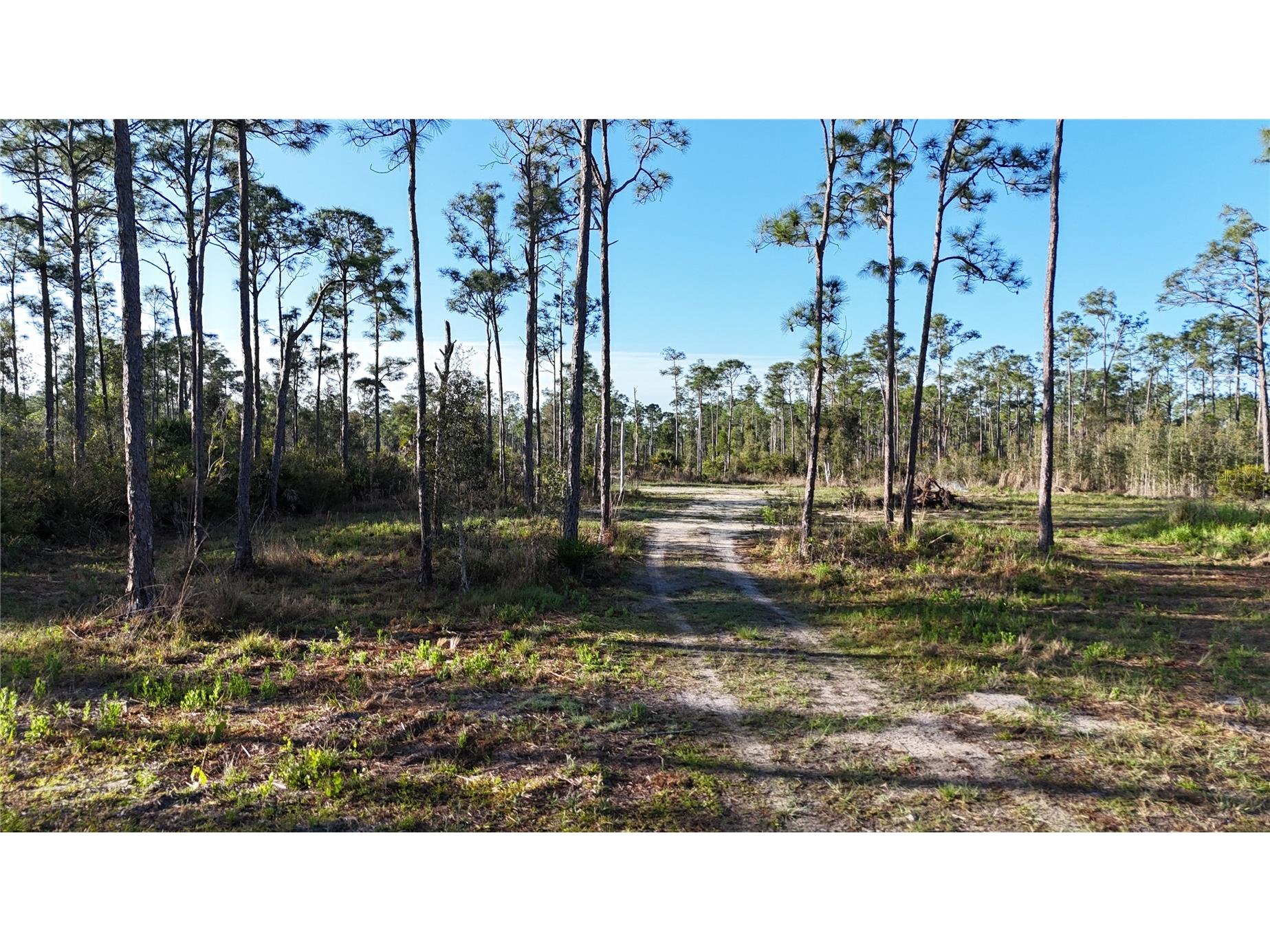 14350 Burnt Store Road Punta Gorda FL 33955 OM722181 image9