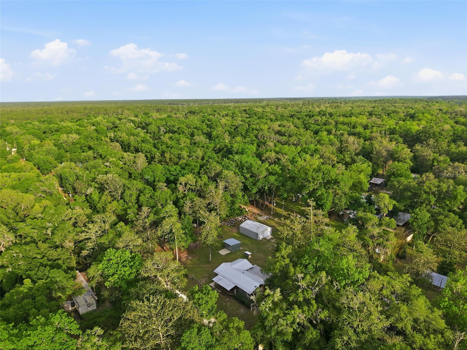 14350 NE 191st Street Fort Mc Coy FL 32134 W7885343 image56