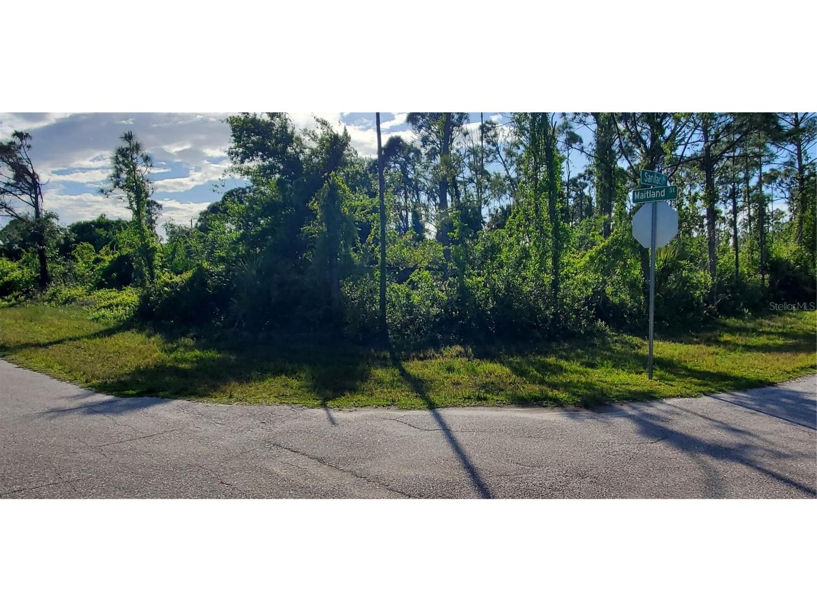 14351 Sanilac Avenue, Port Charlotte, FL, 33981 MLS A4604888 Edina