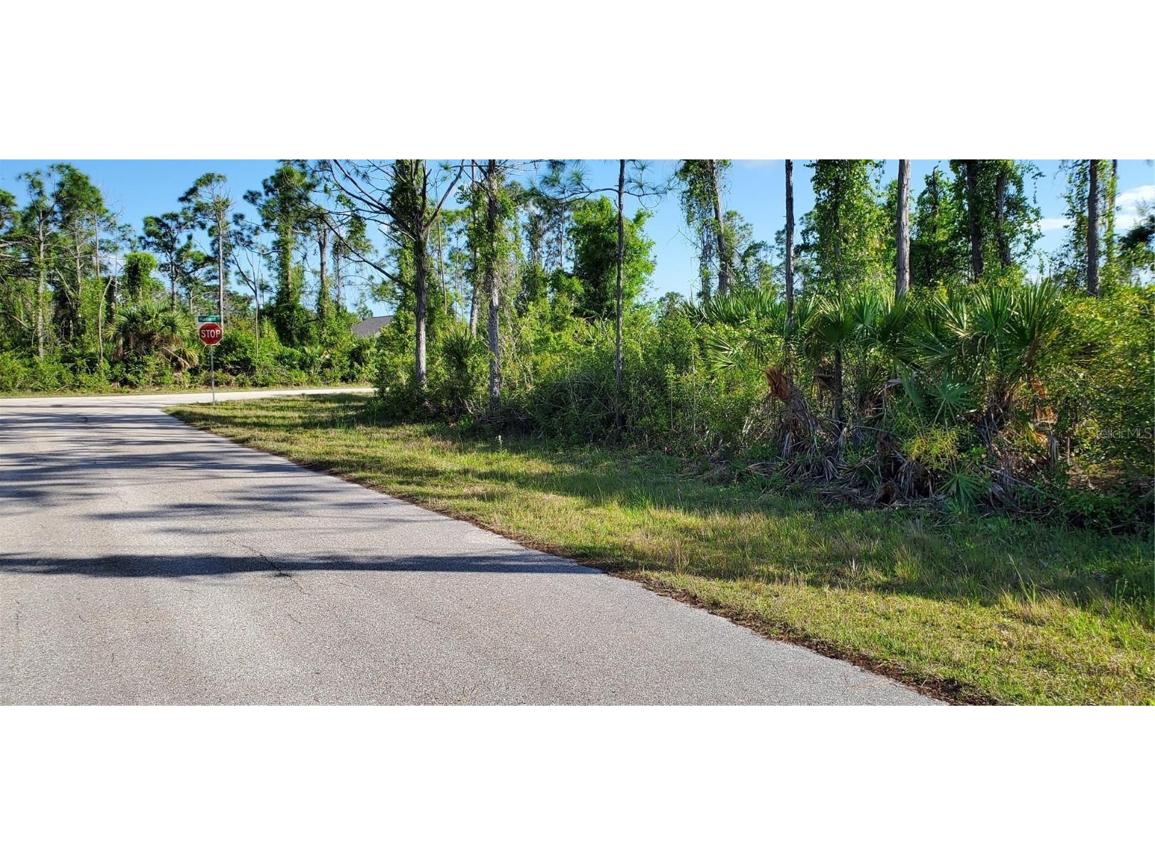 14351 Sanilac Avenue, Port Charlotte, FL, 33981 MLS A4604888 Edina