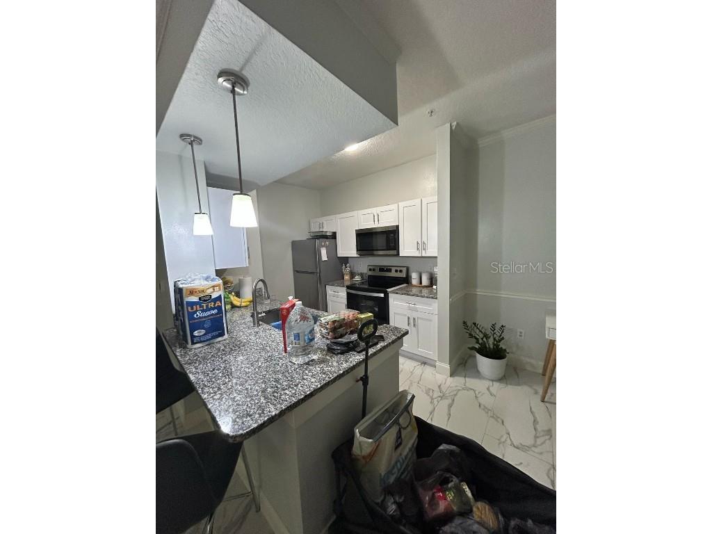 14353 Fredricksburg Drive #913 Orlando FL 32837 S5135424 image7