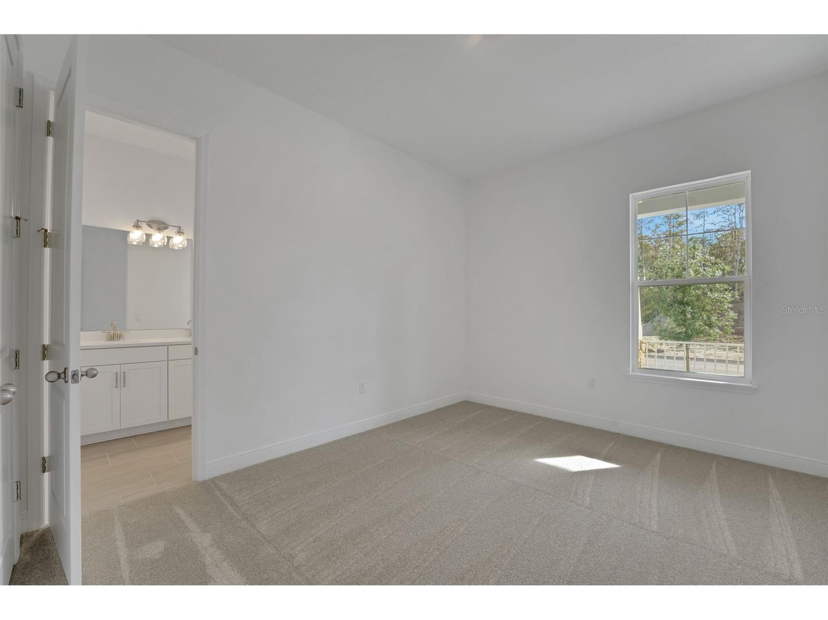 14354 Crest Palm Avenue Windermere FL 34786 G5106241 image48