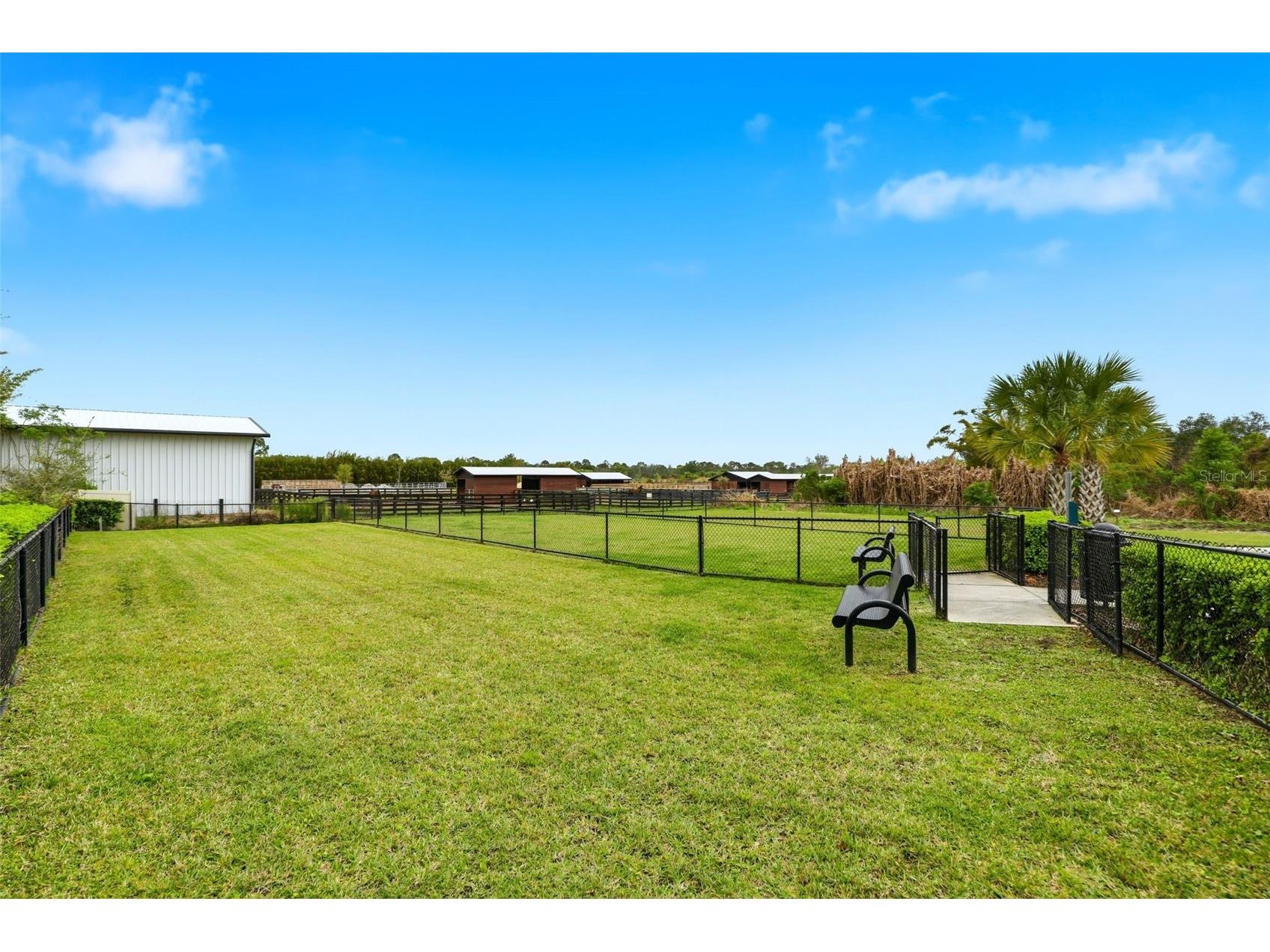 14354 Wabasso Loop Winter Garden FL 34787 O6392378 image58
