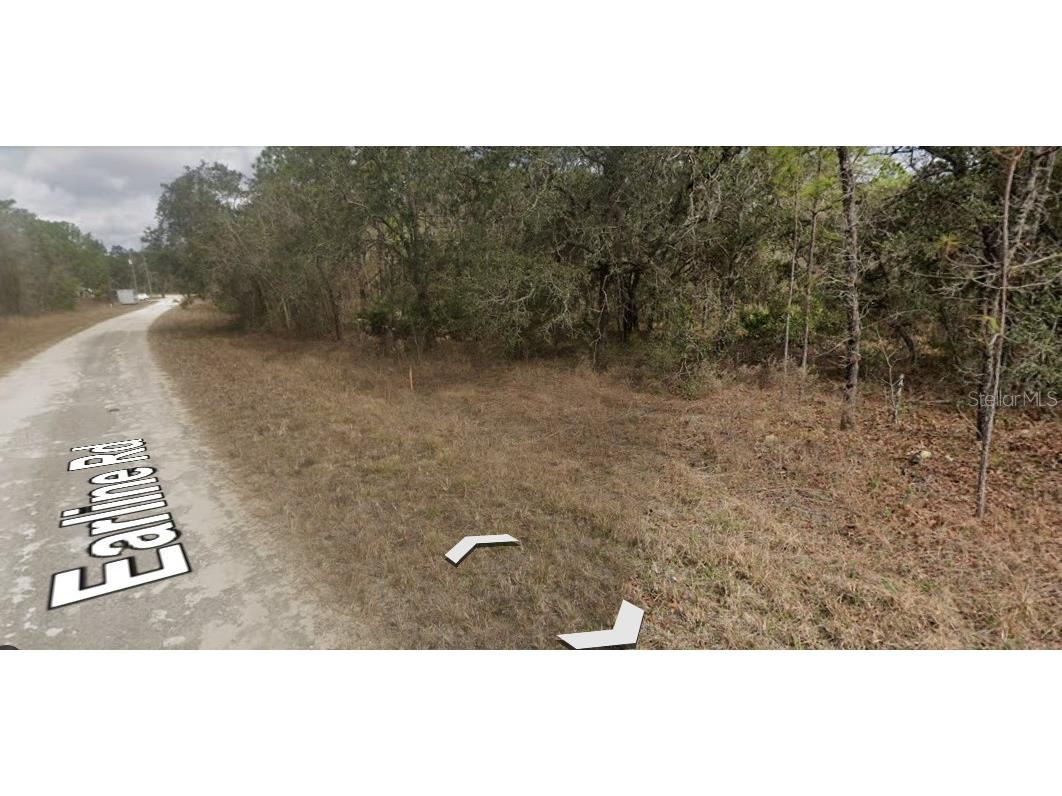 14356 Earline Road Brooksville FL 34614 O6230329 image1