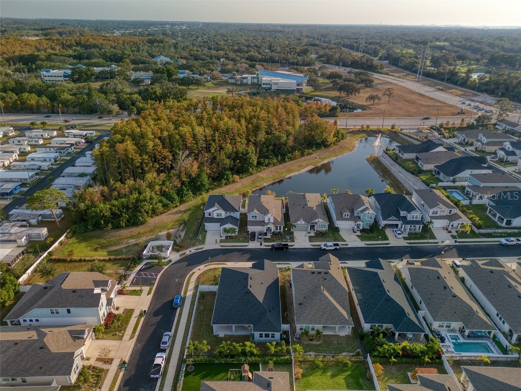 1436 Gopher Loop Tarpon Springs FL 34689 TB8452400 image43