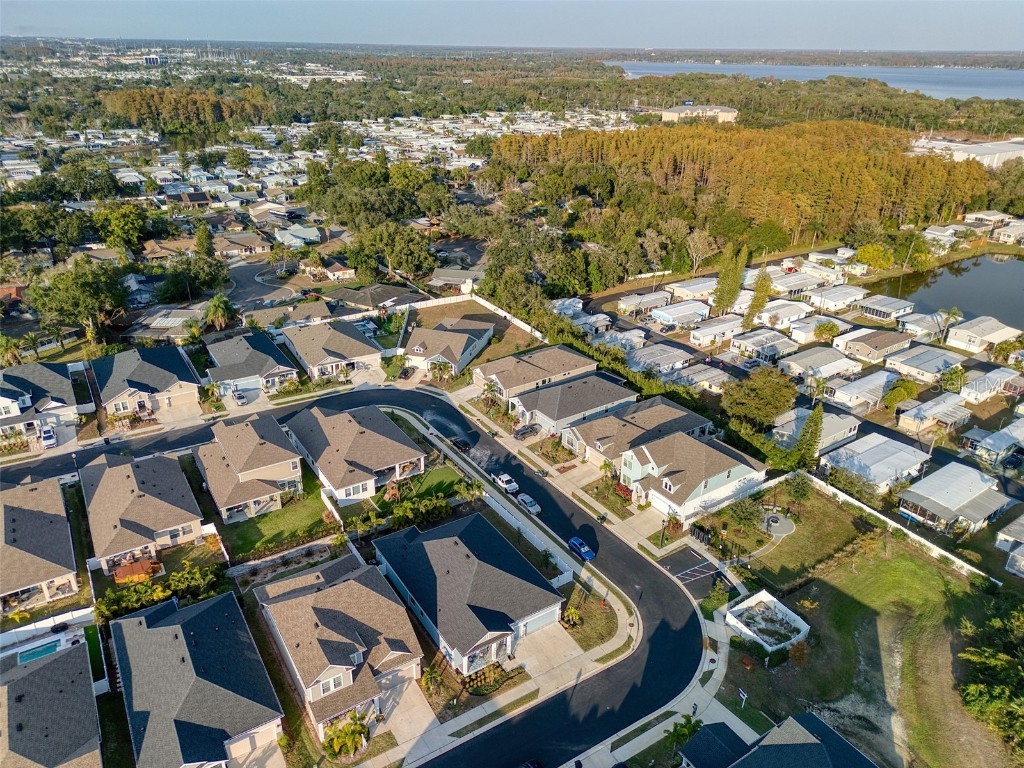 1436 Gopher Loop Tarpon Springs FL 34689 TB8452400 image44