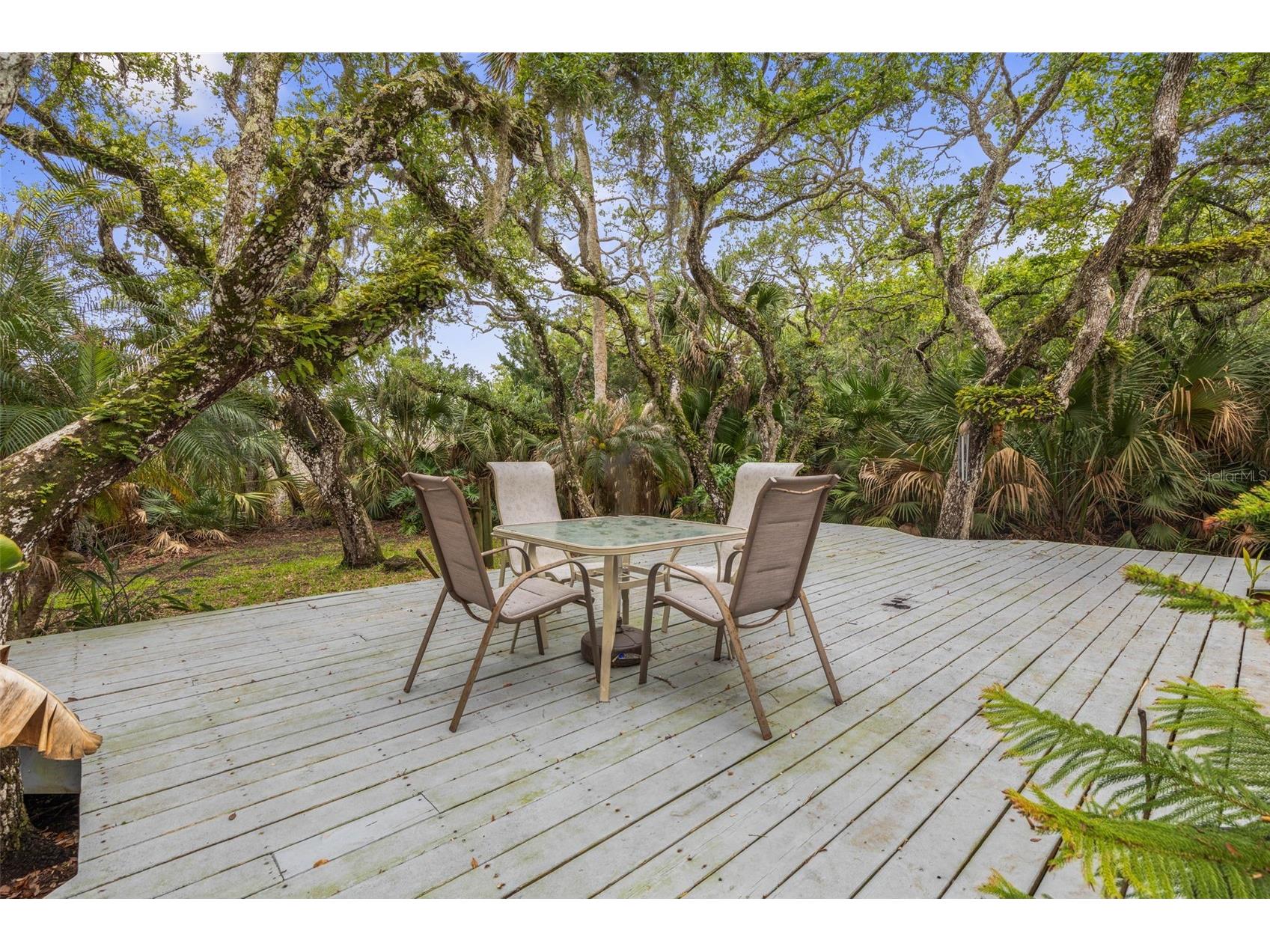 1436 S Flagler Avenue Flagler Beach FL 32136 FC318494 image12