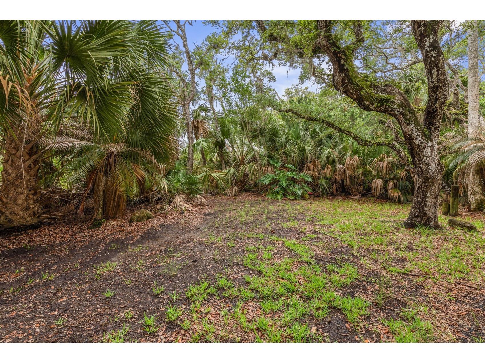 1436 S Flagler Avenue Flagler Beach FL 32136 FC318494 image14