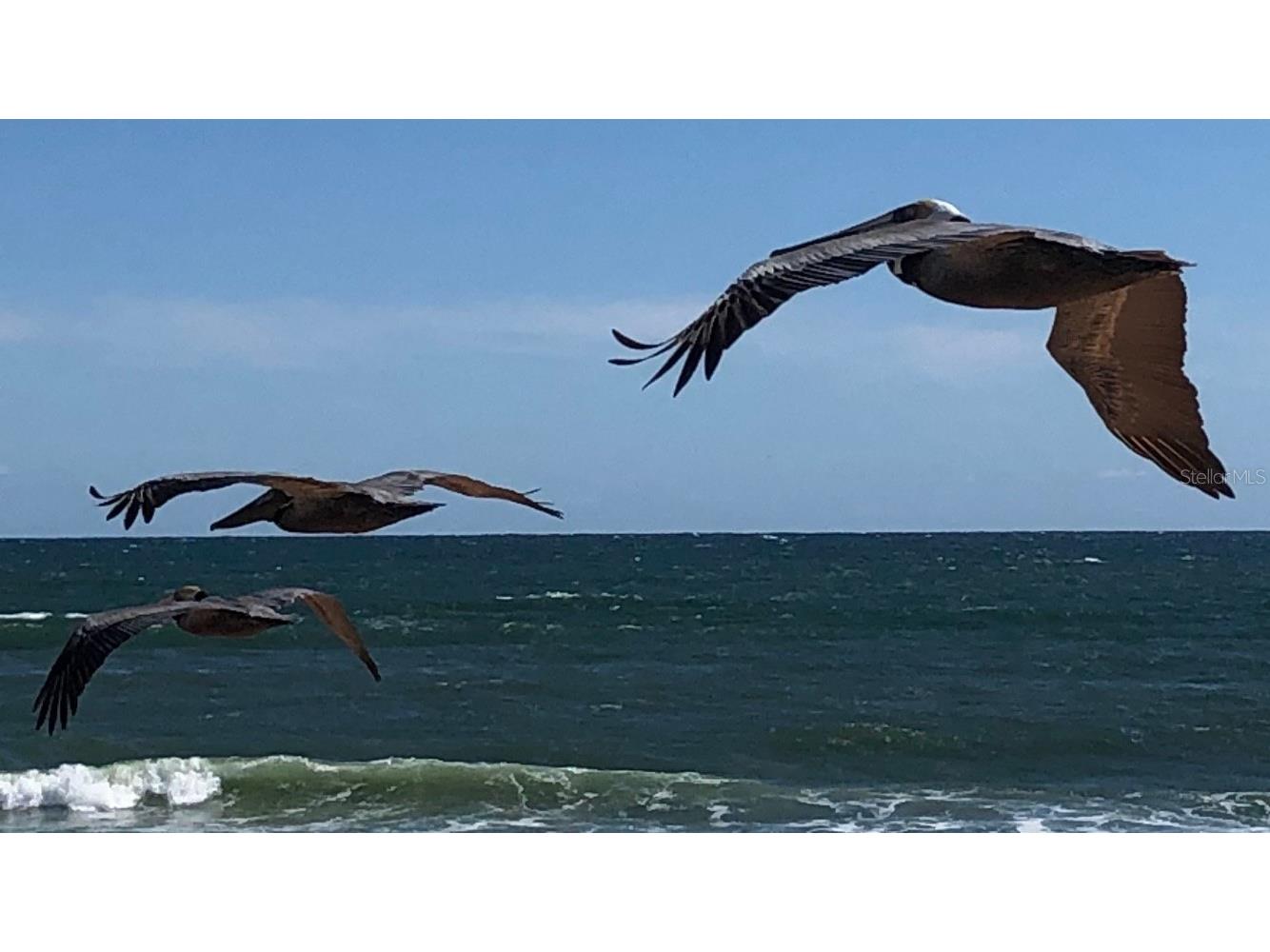 1436 S Flagler Avenue Flagler Beach FL 32136 FC318494 image15