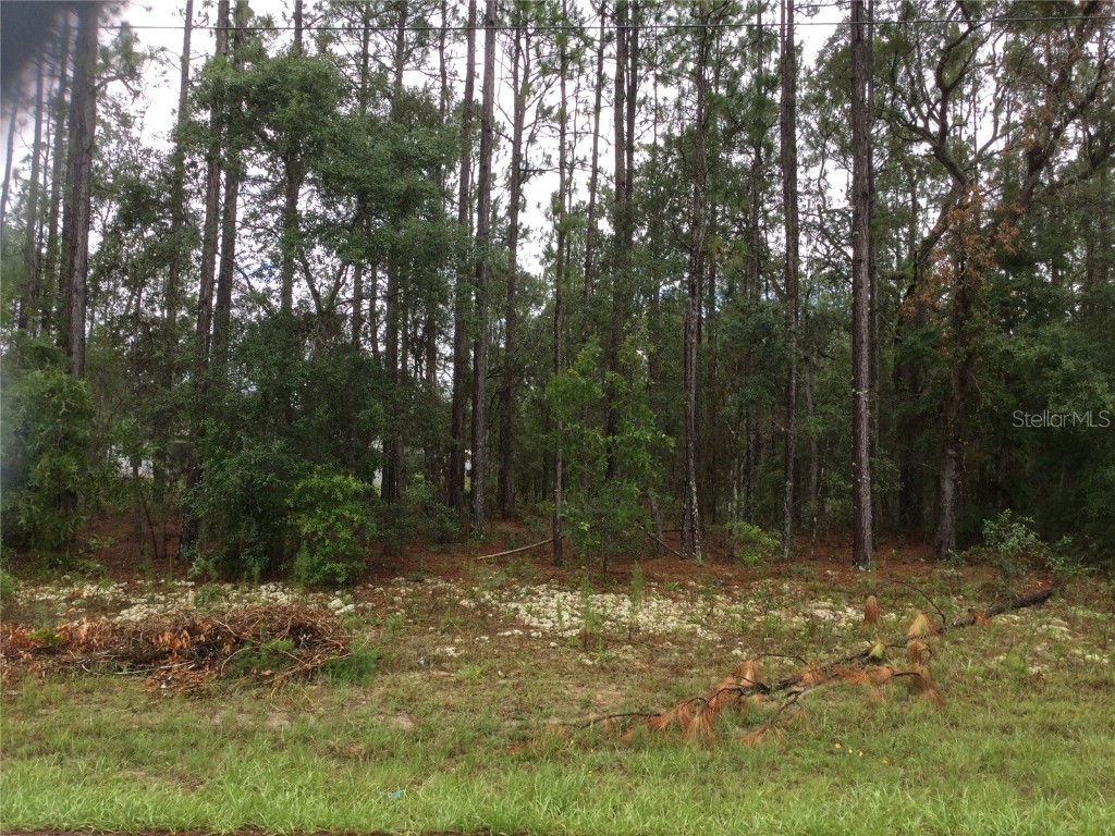 1436 W Japonica Place Dunnellon FL 34434 W7866195 image1