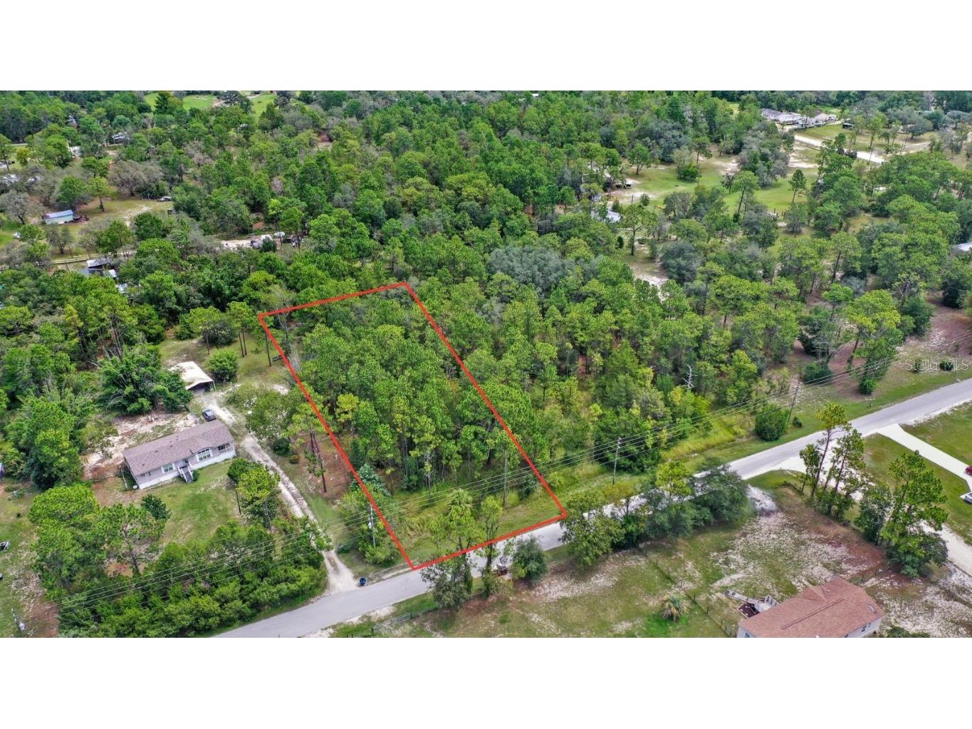 14361 Switch Back Road Spring Hill FL 34609 O6328945 image1