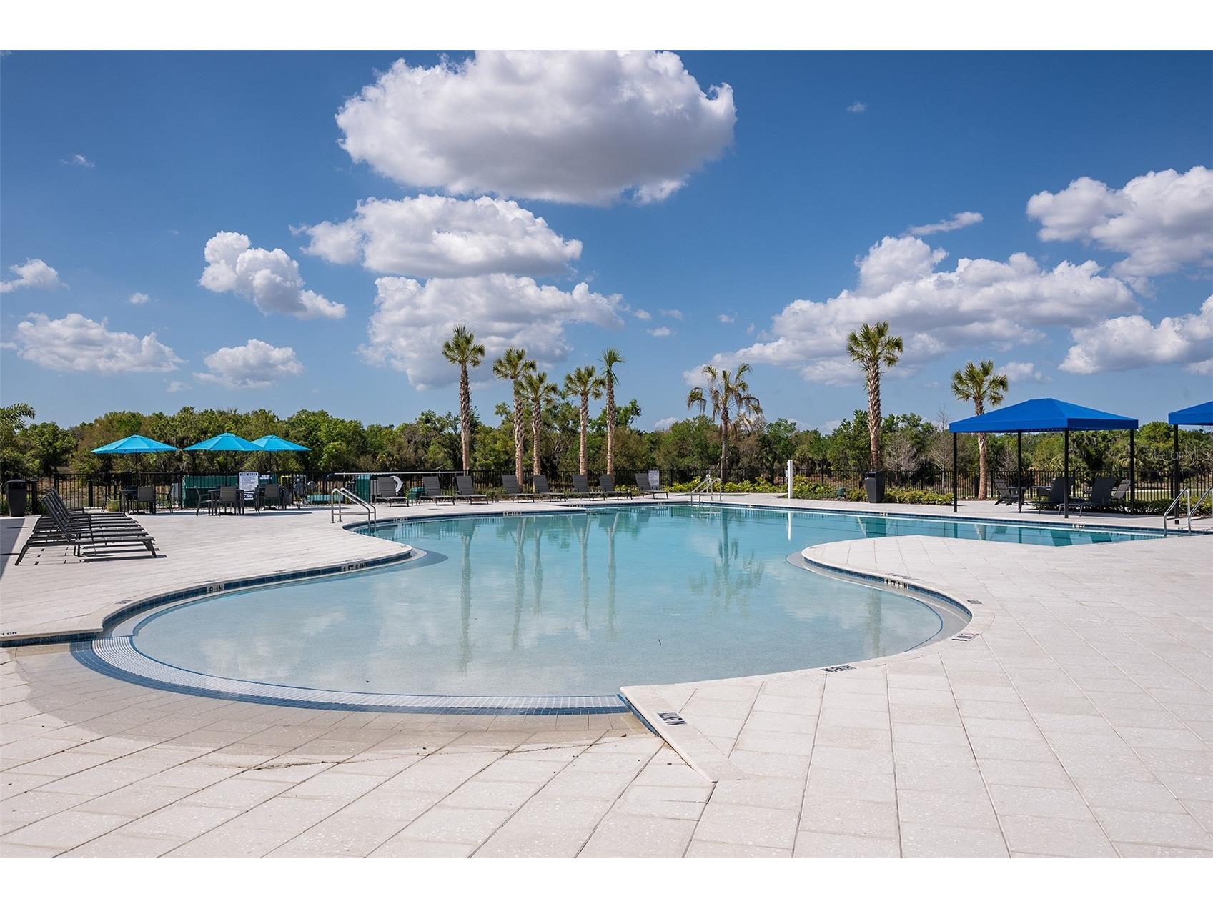 14363 Hammock Oak Street Parrish FL 34219 W7885175 image53