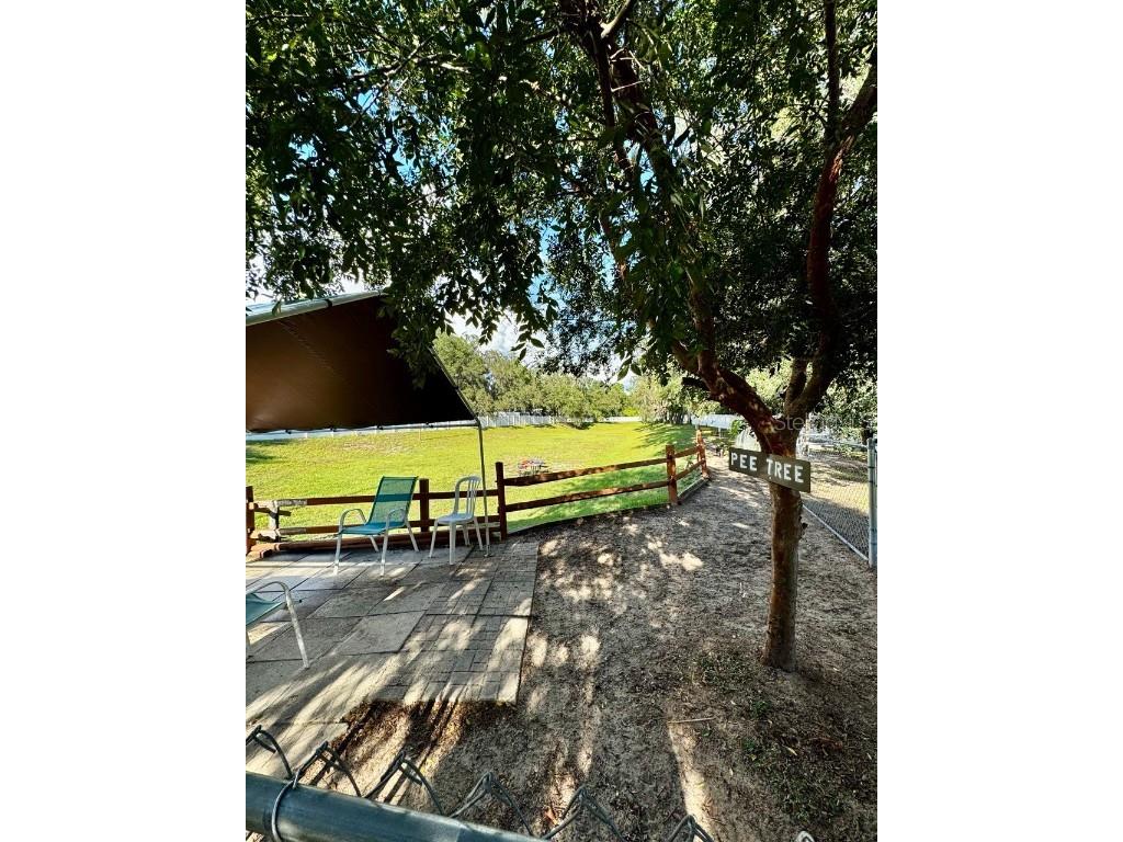 14365 NE 252nd Court Road #123 Salt Springs FL 32134 - LITTLE LAKE KERR OM708265 image32