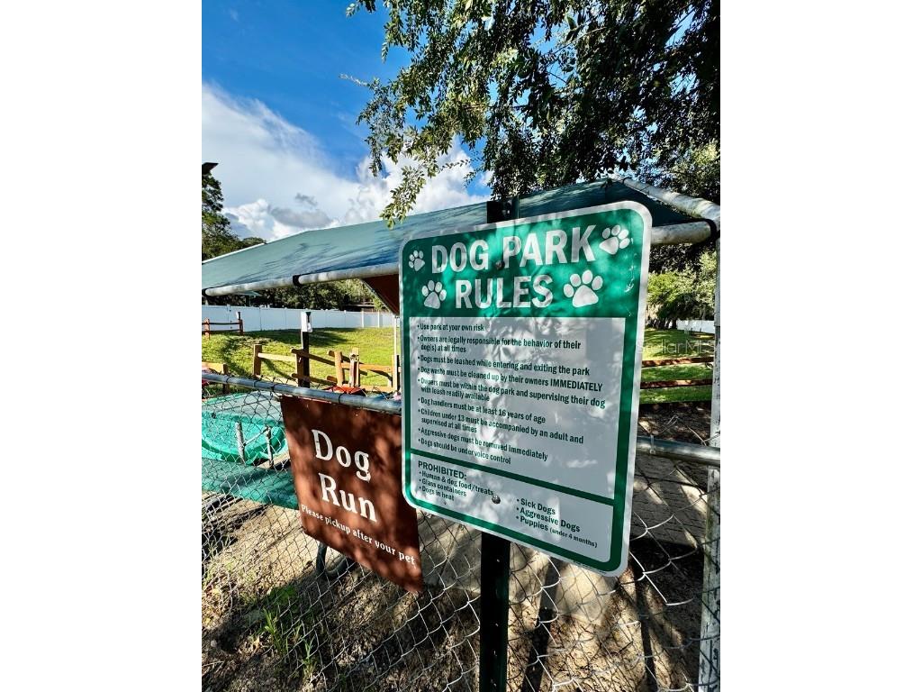 14365 NE 252nd Court Road #123 Salt Springs FL 32134 - LITTLE LAKE KERR OM708265 image33