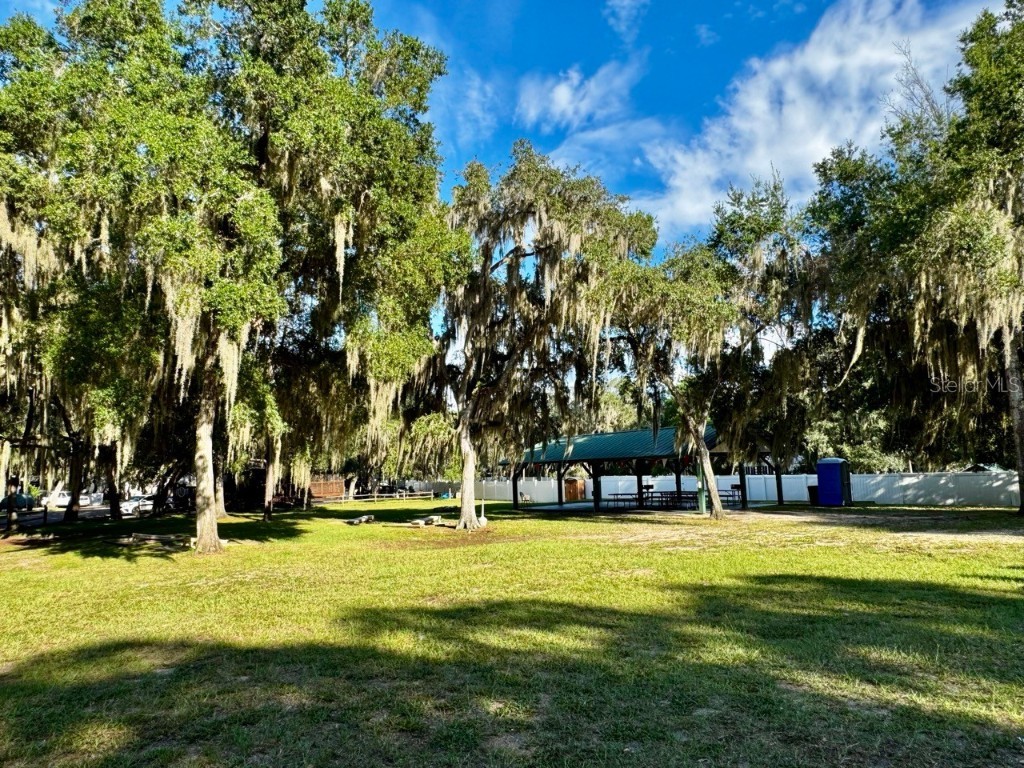 14365 NE 252nd Court Road #123 Salt Springs FL 32134 - LITTLE LAKE KERR OM708265 image34