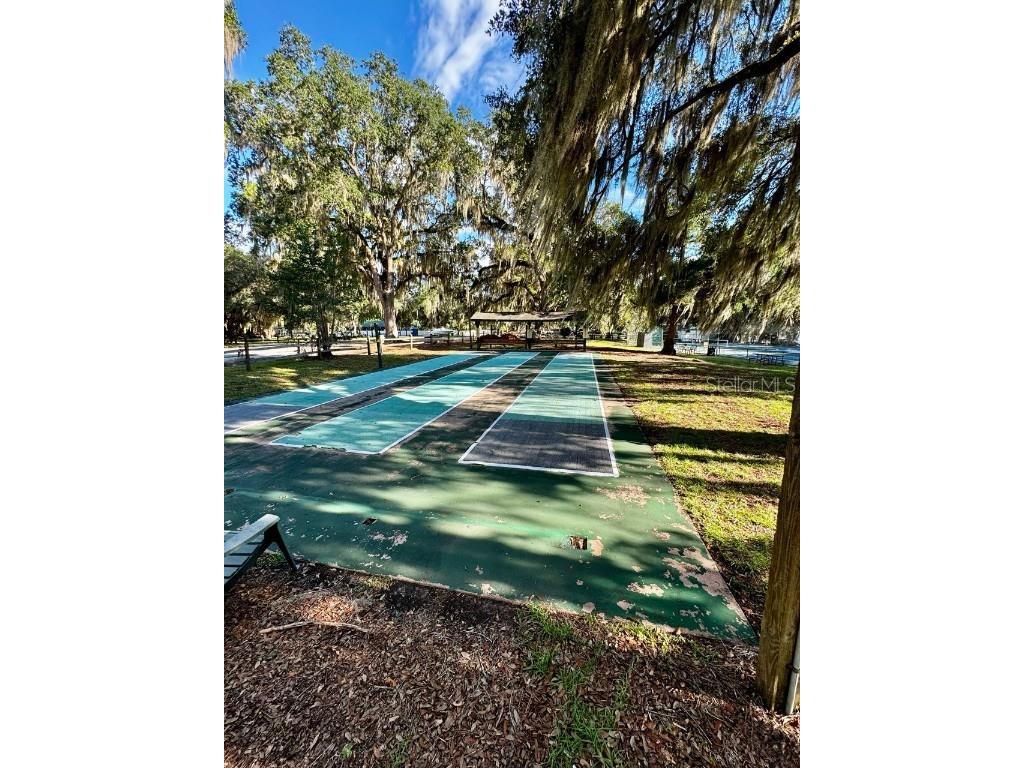 14365 NE 252nd Court Road #123 Salt Springs FL 32134 - LITTLE LAKE KERR OM708265 image36