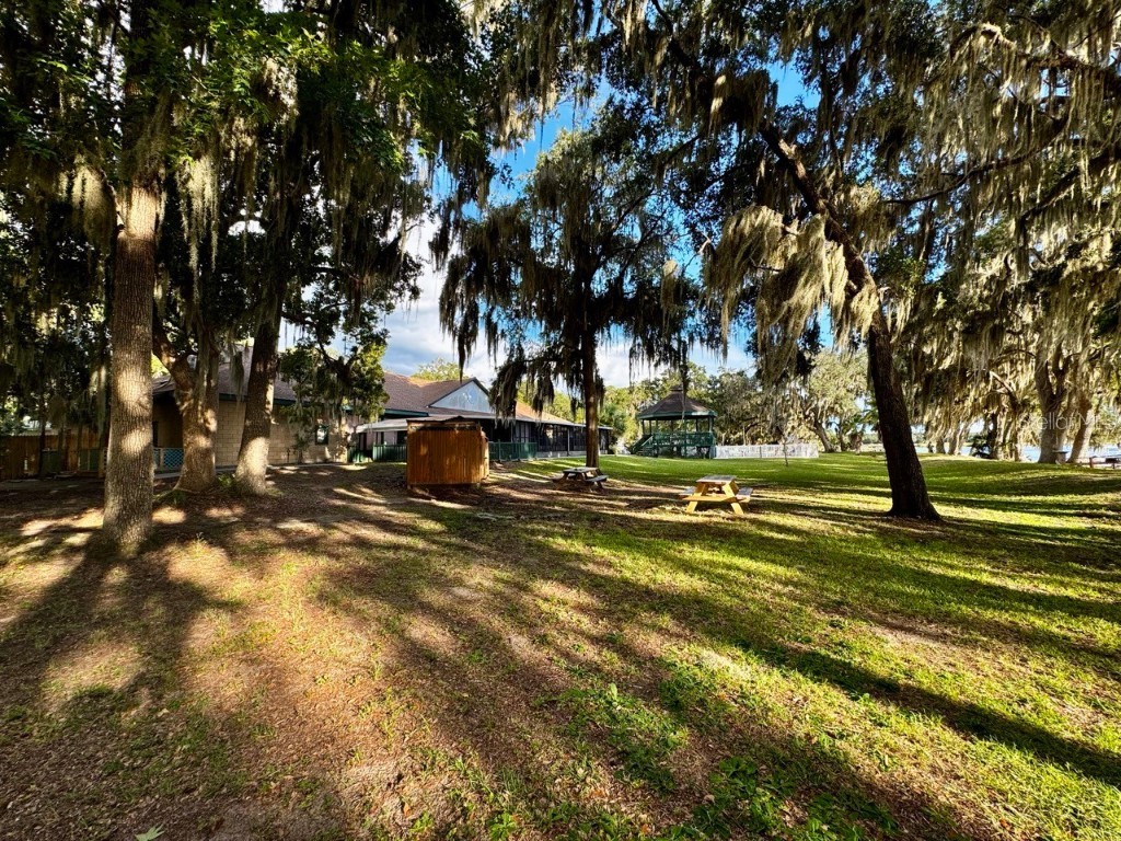 14365 NE 252nd Court Road #123 Salt Springs FL 32134 - LITTLE LAKE KERR OM708265 image41