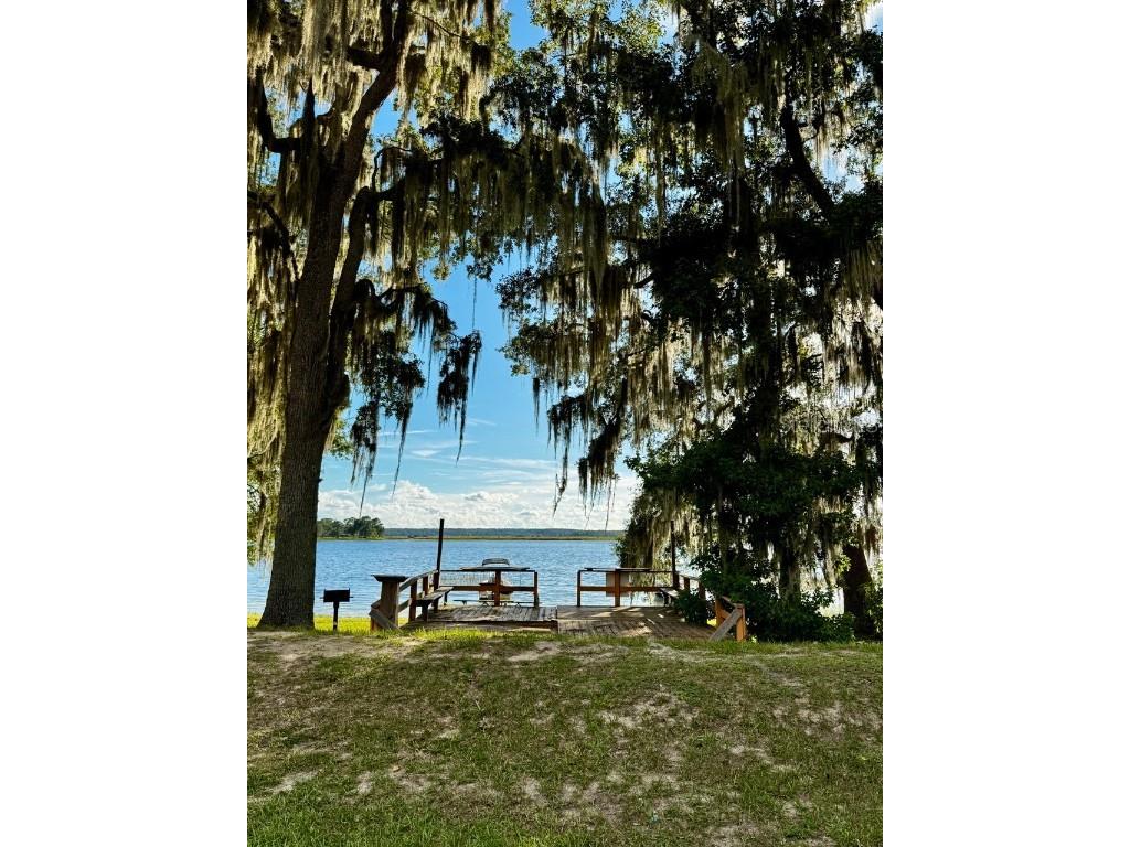 14365 NE 252nd Court Road #123 Salt Springs FL 32134 - LITTLE LAKE KERR OM708265 image43