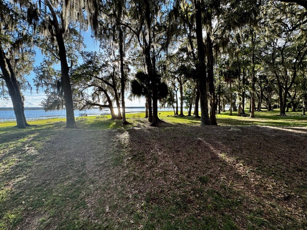 14365 NE 252nd Court Road #123 Salt Springs FL 32134 - LITTLE LAKE KERR OM708265 image44