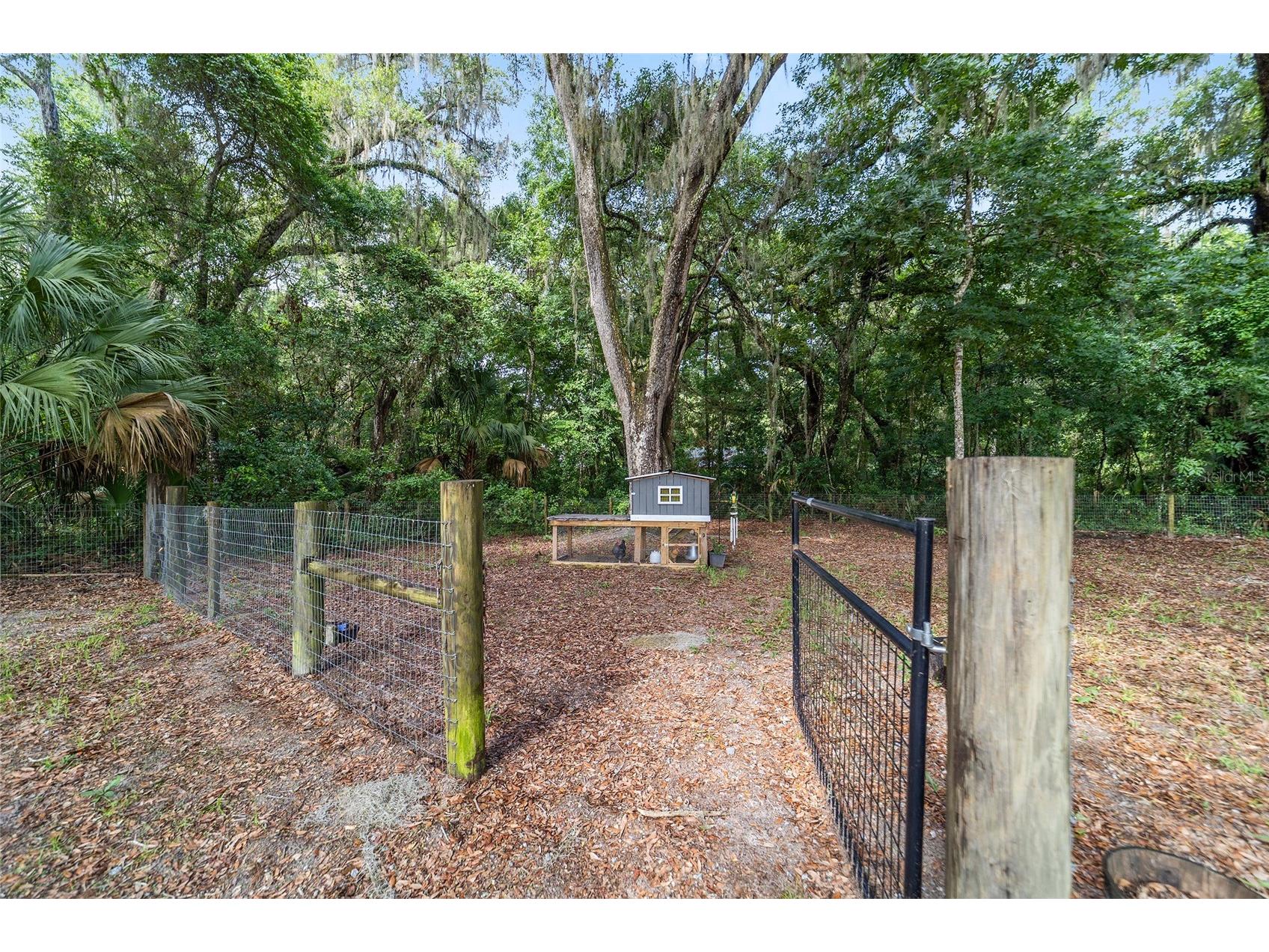 14366 NE 42nd Terrace Anthony FL 32617 OM725892 image67