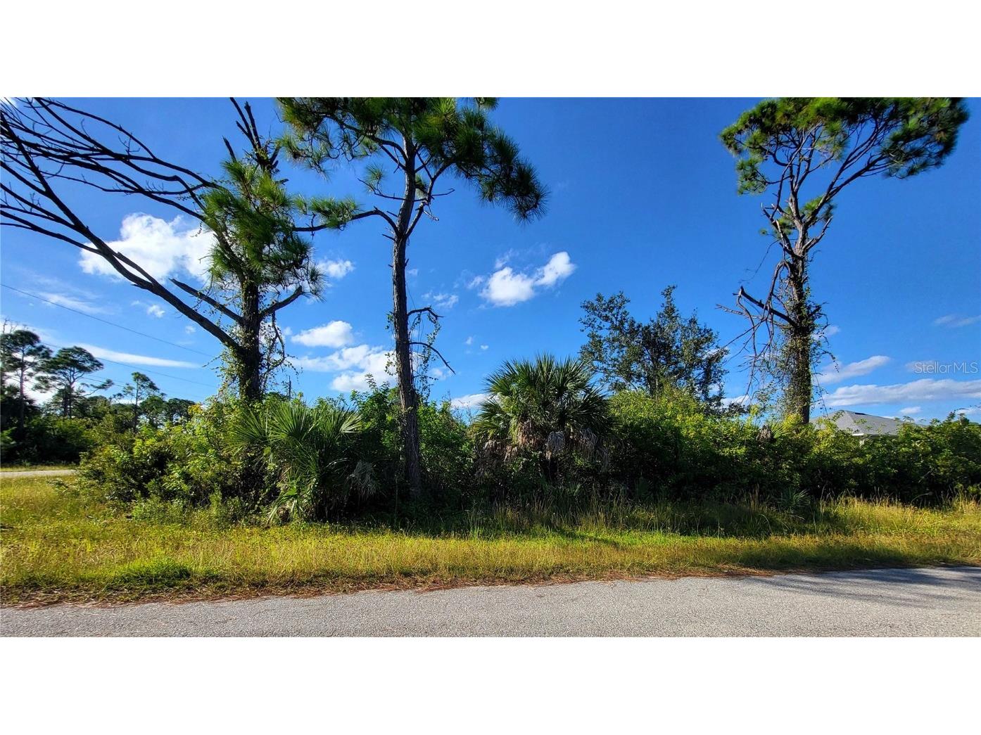 14368 Mcfarland Avenue Port Charlotte FL 33981 D6144550 image5