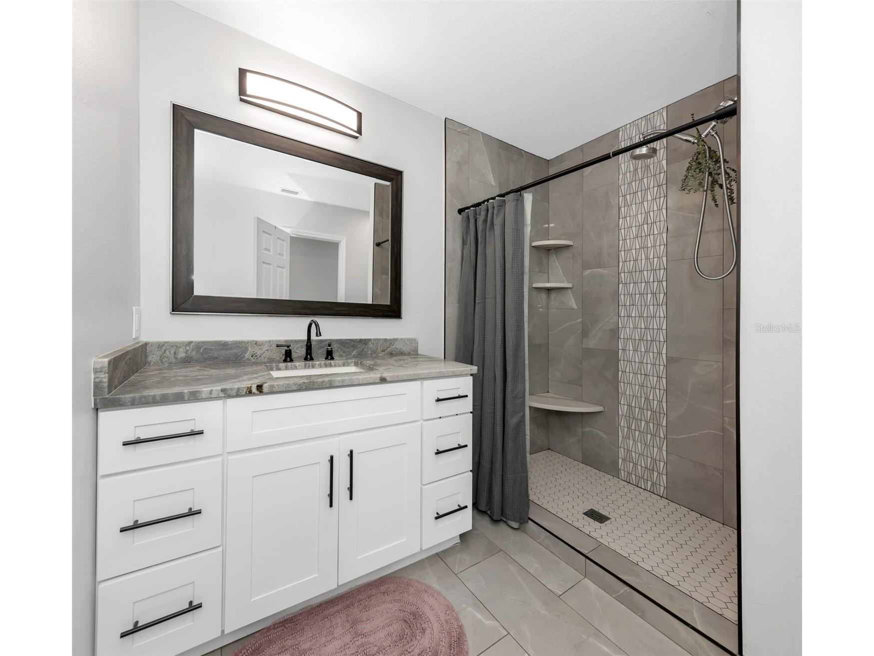 1437 Carlos Avenue Clearwater FL 33755 TB8502091 image21