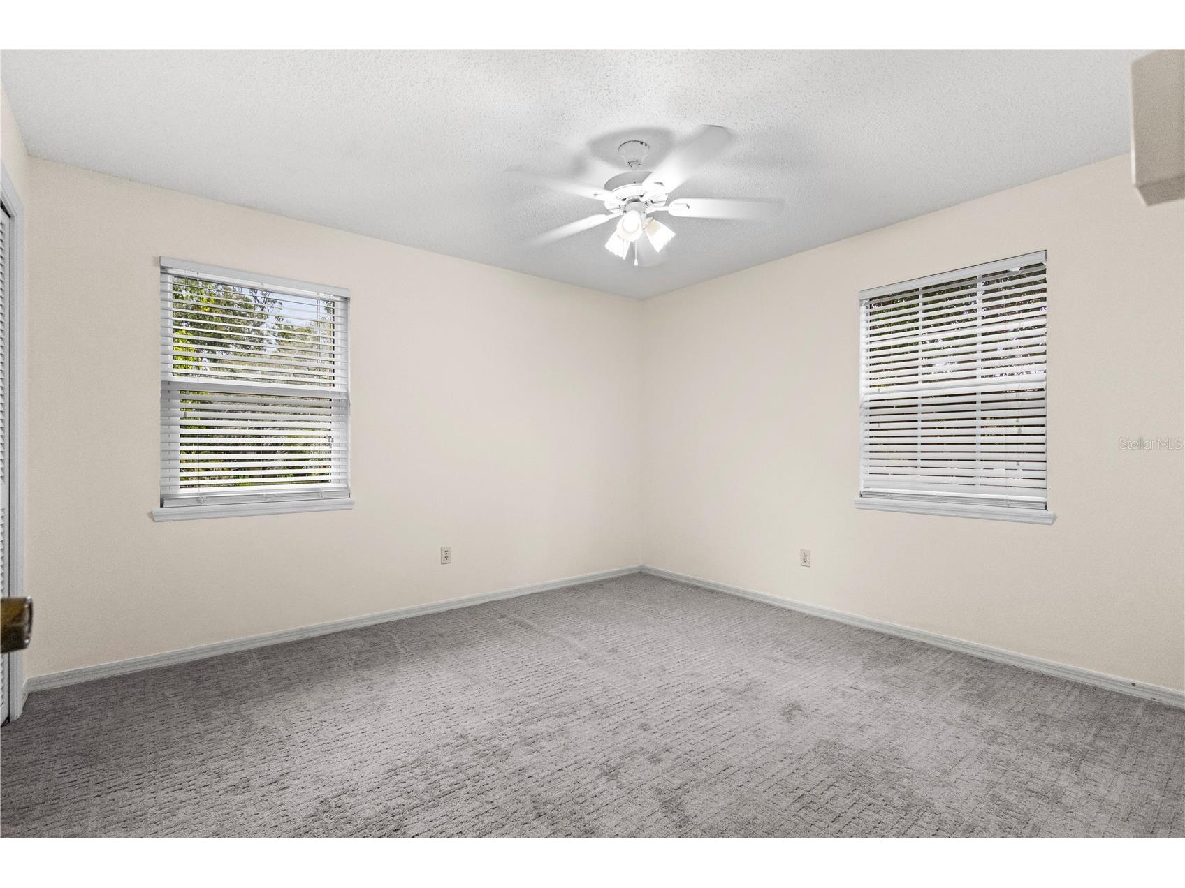 1437 Glenview Road Palm Harbor FL 34683 W7882469 image62