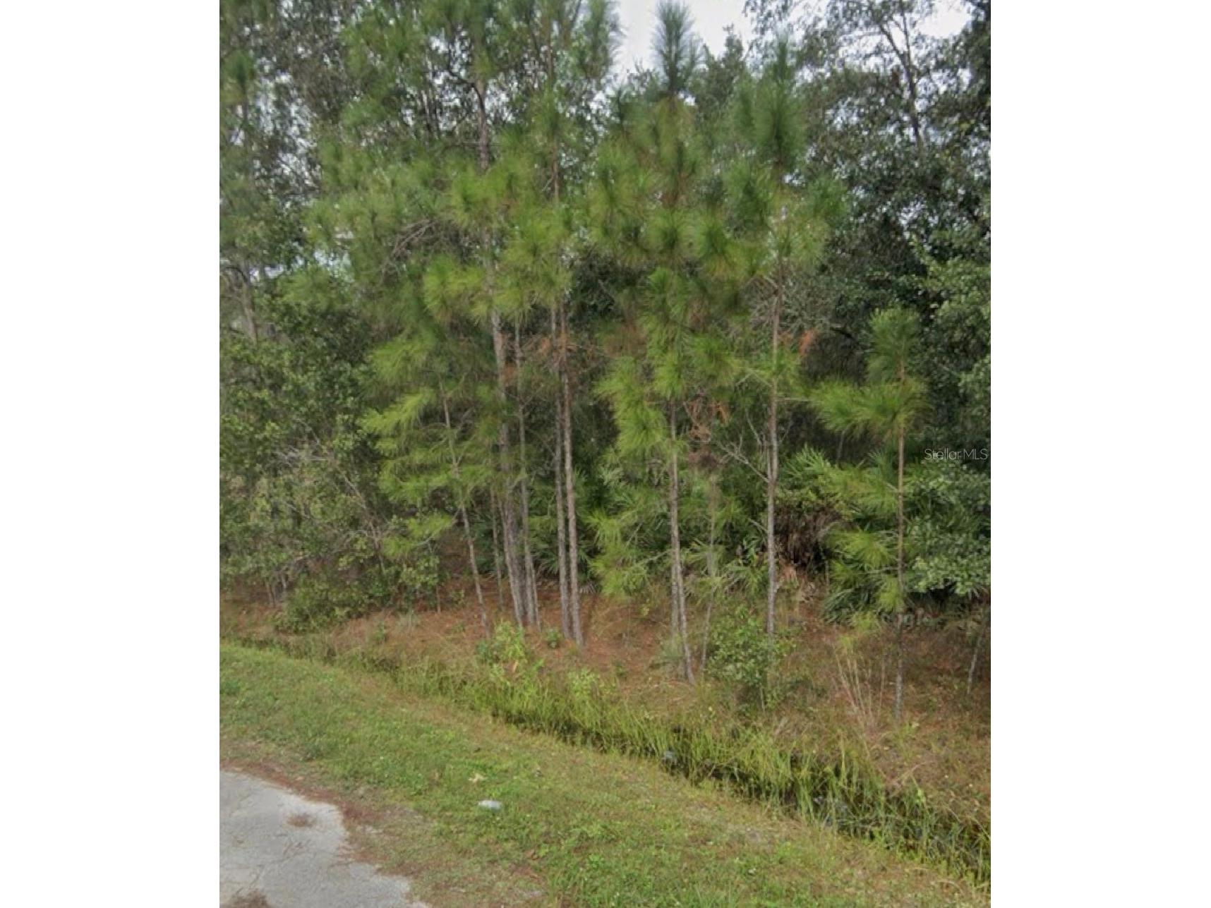 1437 Tern Court Poinciana FL 34759 S5151109 image1