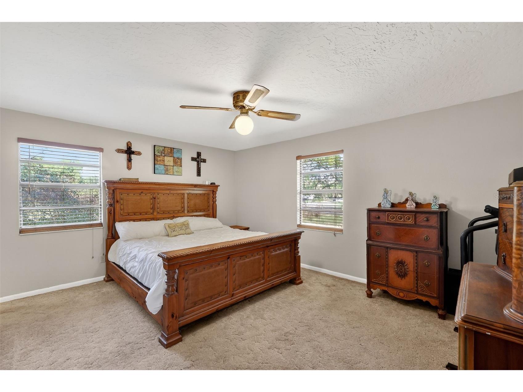 14370 Co Rd 751 Webster FL 33597 G5109933 image19