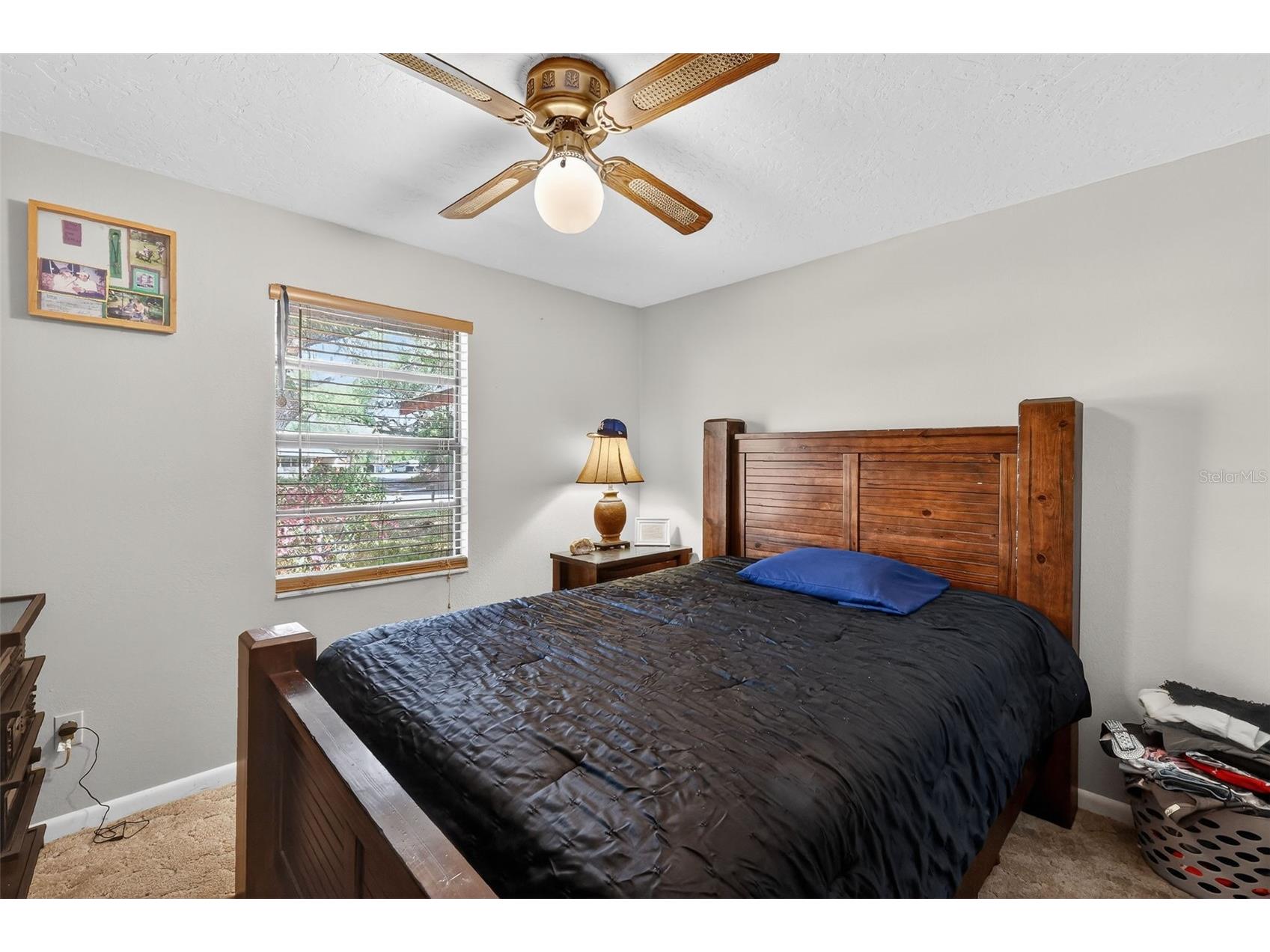 14370 Co Rd 751 Webster FL 33597 G5109933 image22