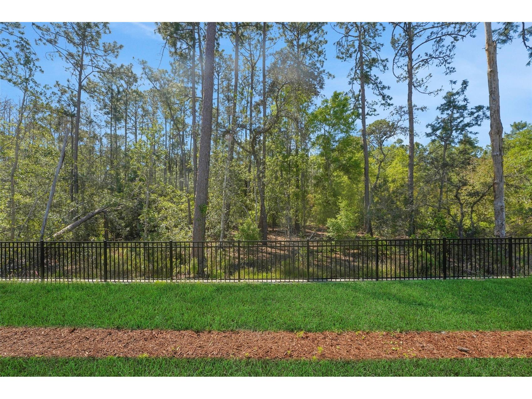 14371 Crest Palm Avenue Windermere FL 34786 G5110664 image42