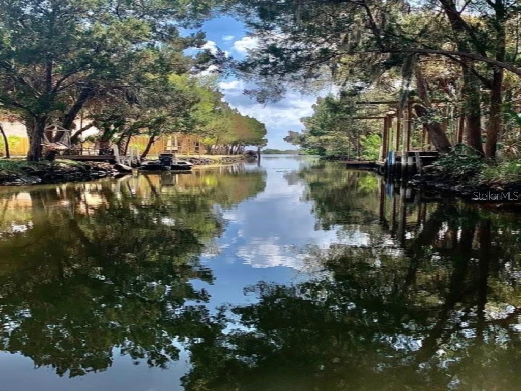 14371 W Ebbtide Court Crystal River FL 34429 TB8462931 image1