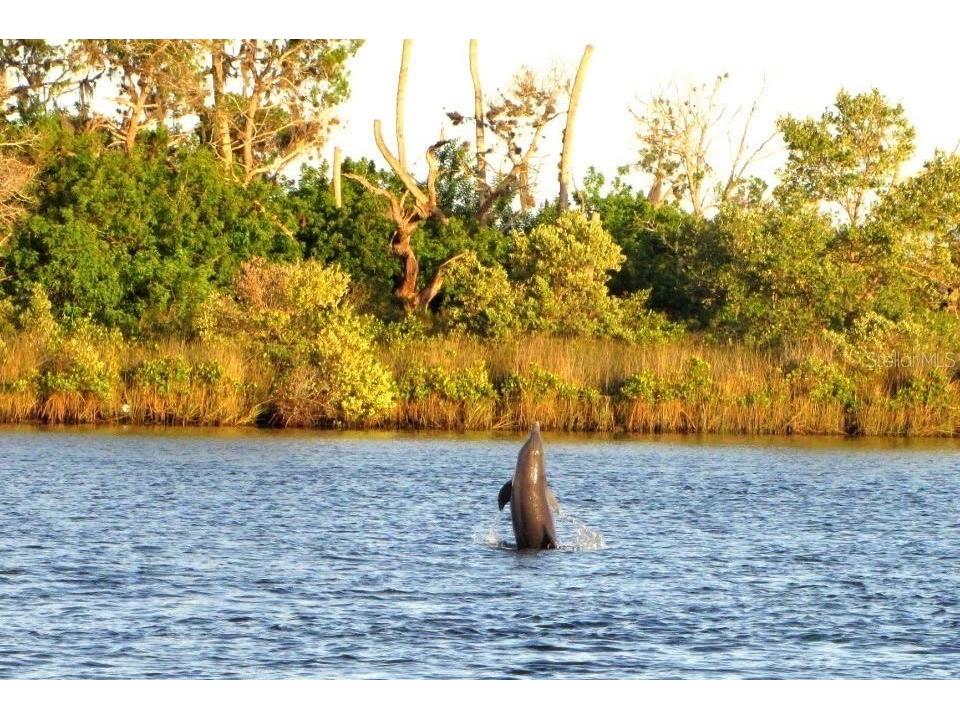 14371 W Ebbtide Court Crystal River FL 34429 TB8462931 image44