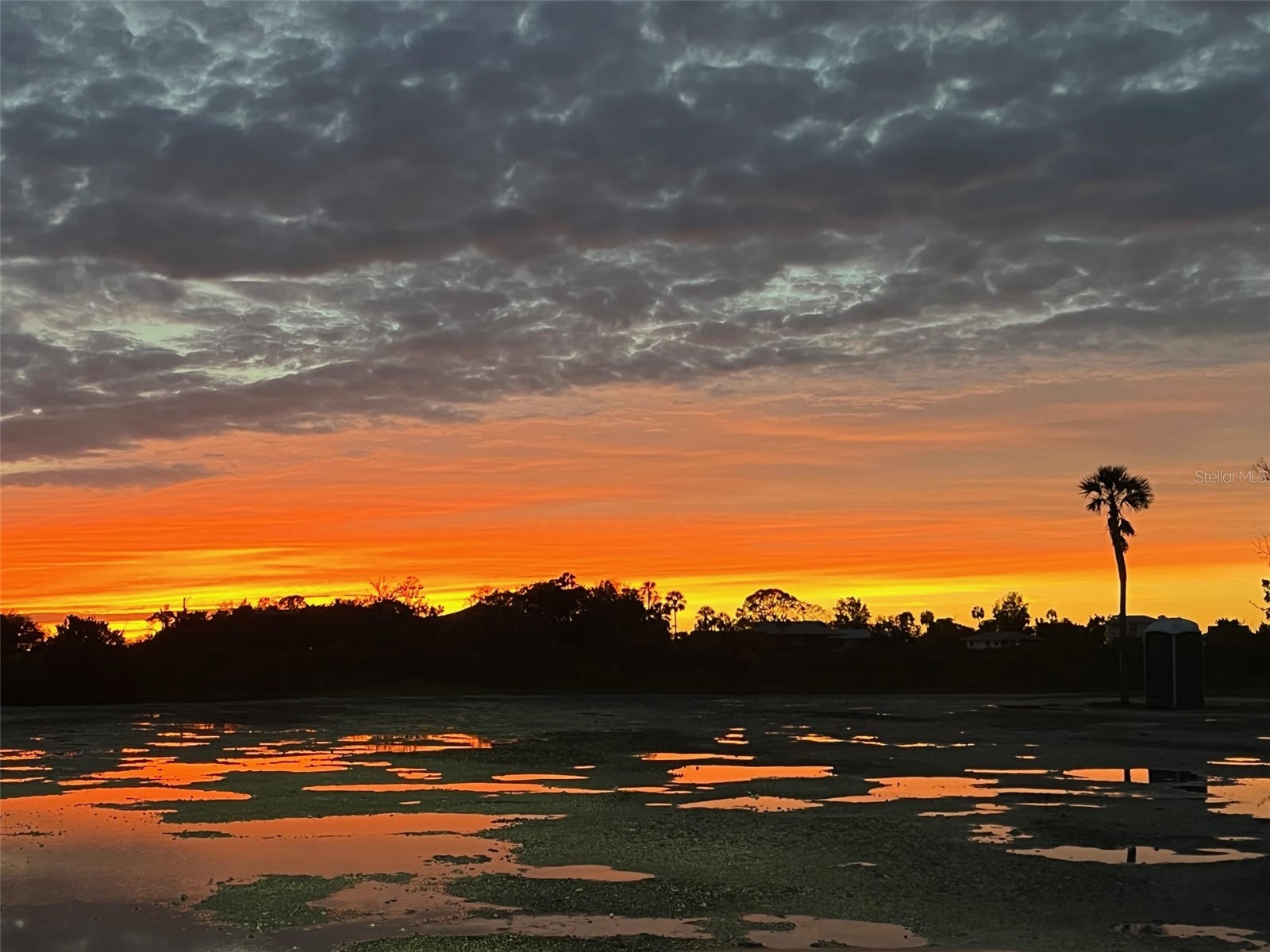 14371 W Ebbtide Court Crystal River FL 34429 TB8462931 image53