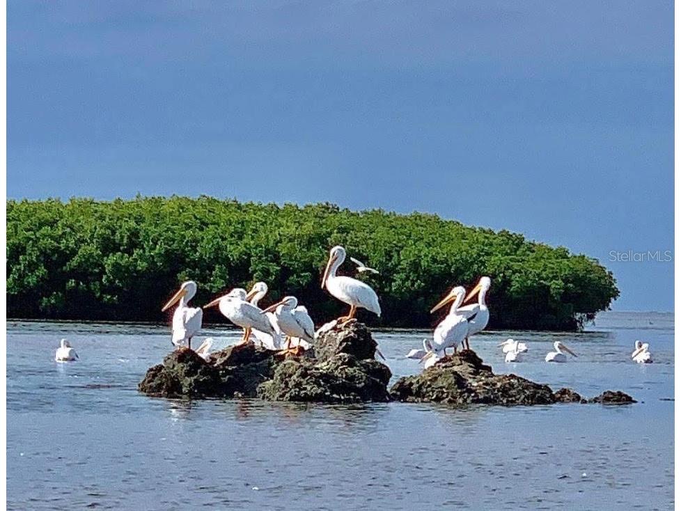 14371 W Ebbtide Court Crystal River FL 34429 TB8462931 image55