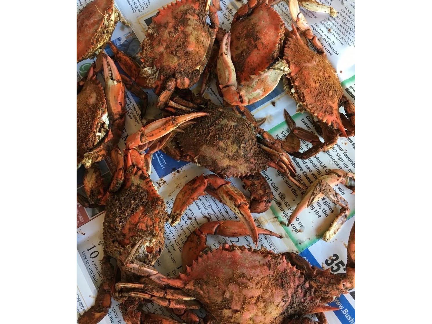 14371 W Ebbtide Court Crystal River FL 34429 TB8462931 image57