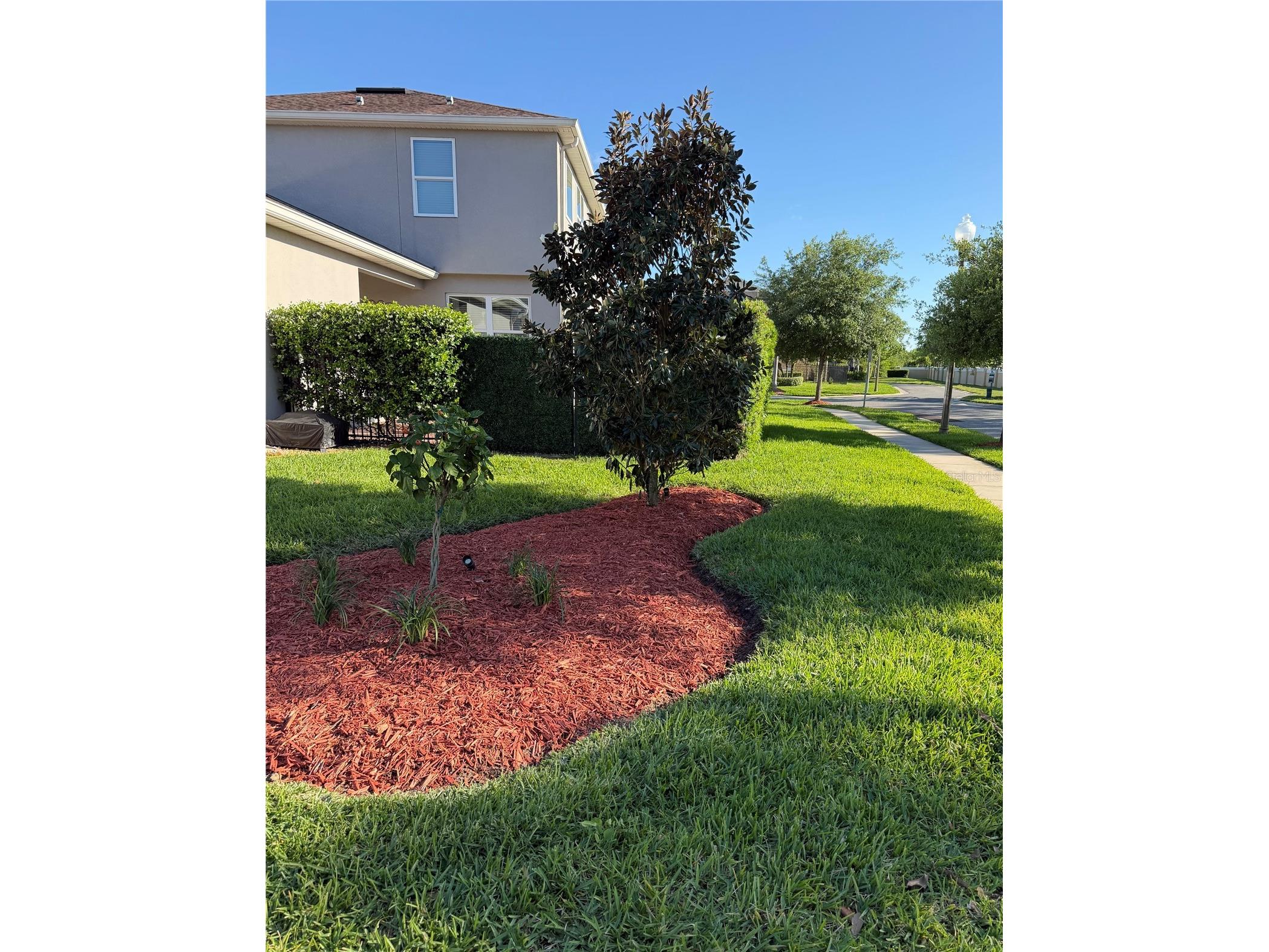 14372 Breda Center Loop Winter Garden FL 34787 O6385377 image32