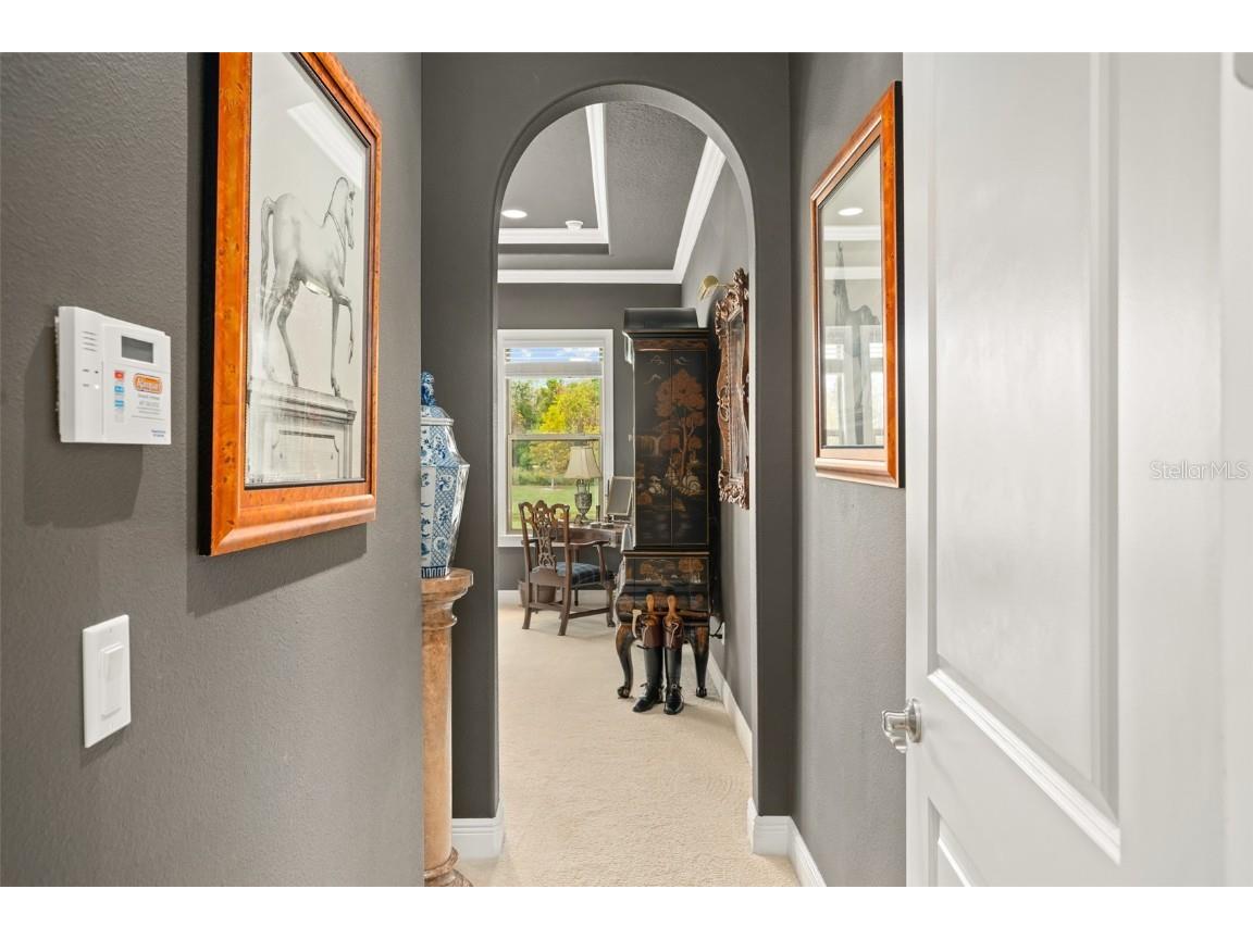 14372 Sunbridge Circle Winter Garden FL 34787 O6356579 image18