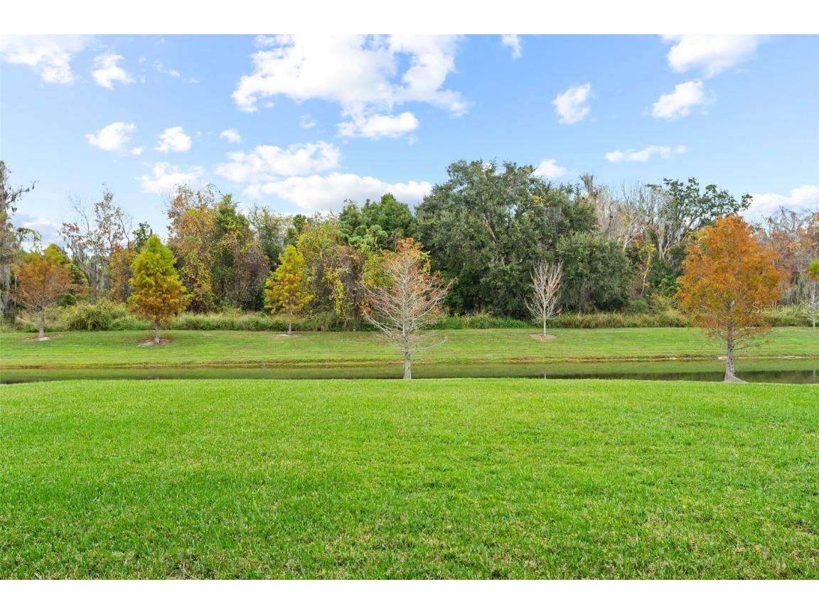 14372 Sunbridge Circle Winter Garden FL 34787 O6356579 image37