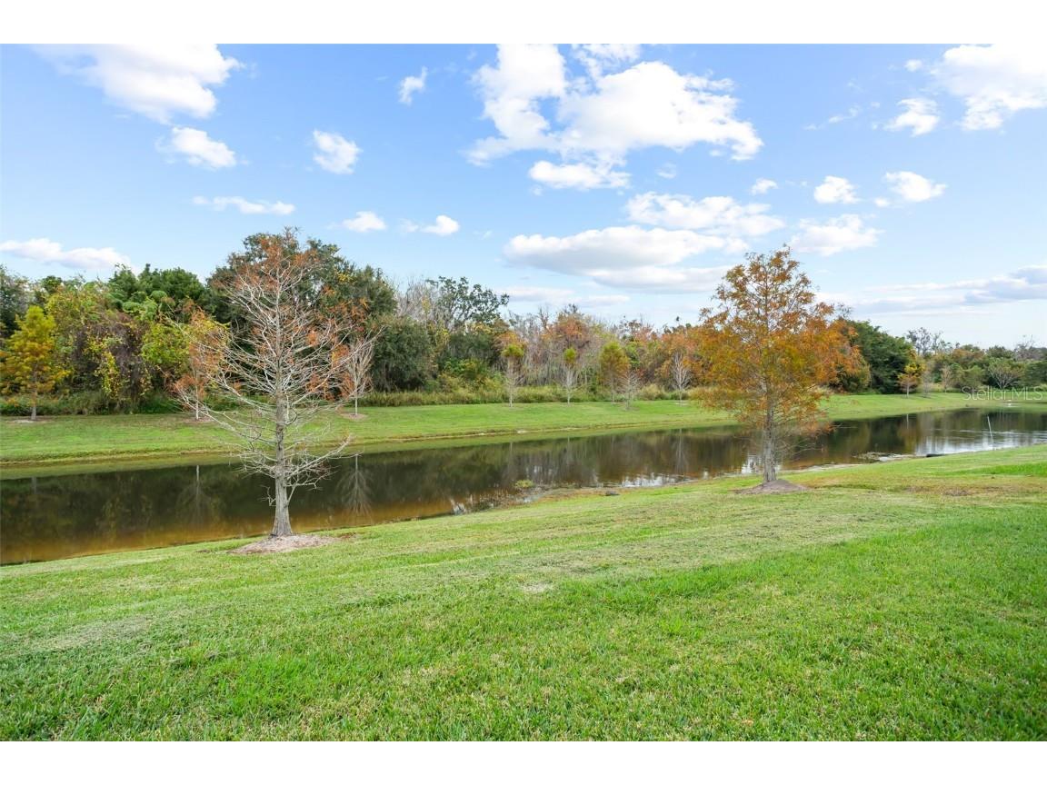 14372 Sunbridge Circle Winter Garden FL 34787 O6356579 image39