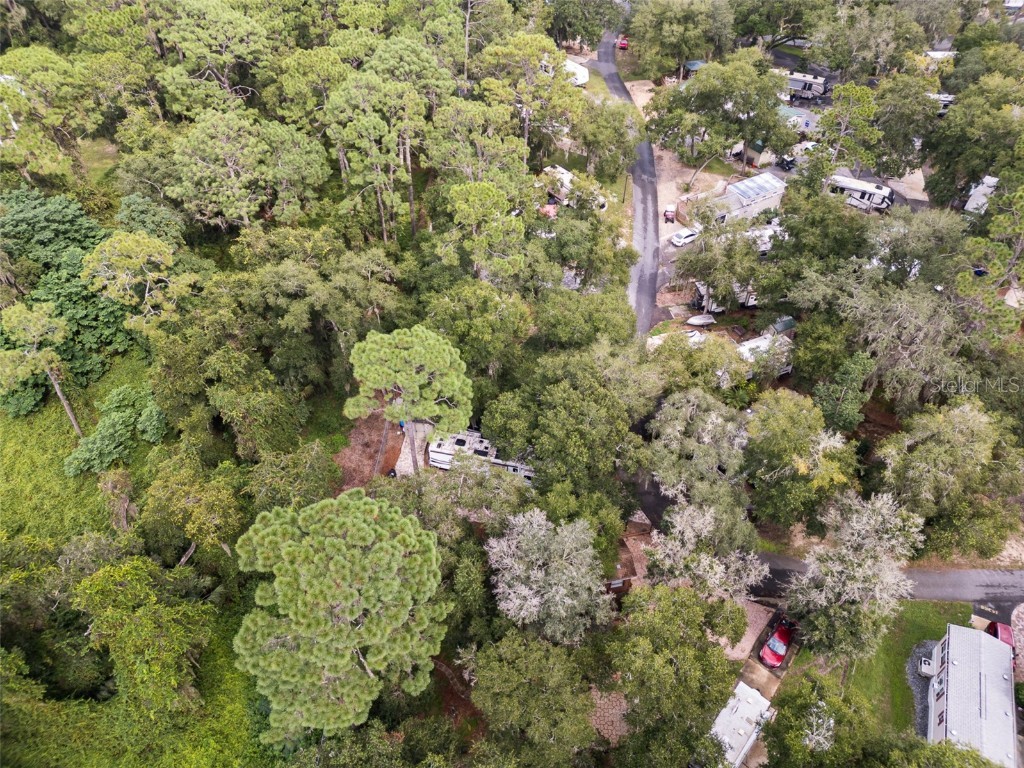 14374 251st Circle NE Fort Mc Coy FL 32134 V4938559 image1