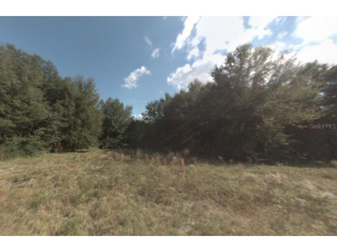 14375 SE 36th Court Summerfield FL 34491 S5127012 image1