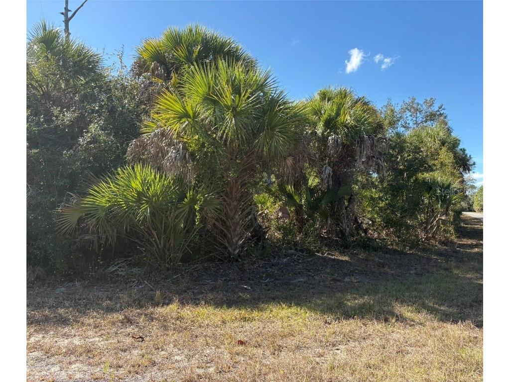 14376 Aldridge Avenue Port Charlotte FL 33953 D6145477 image2