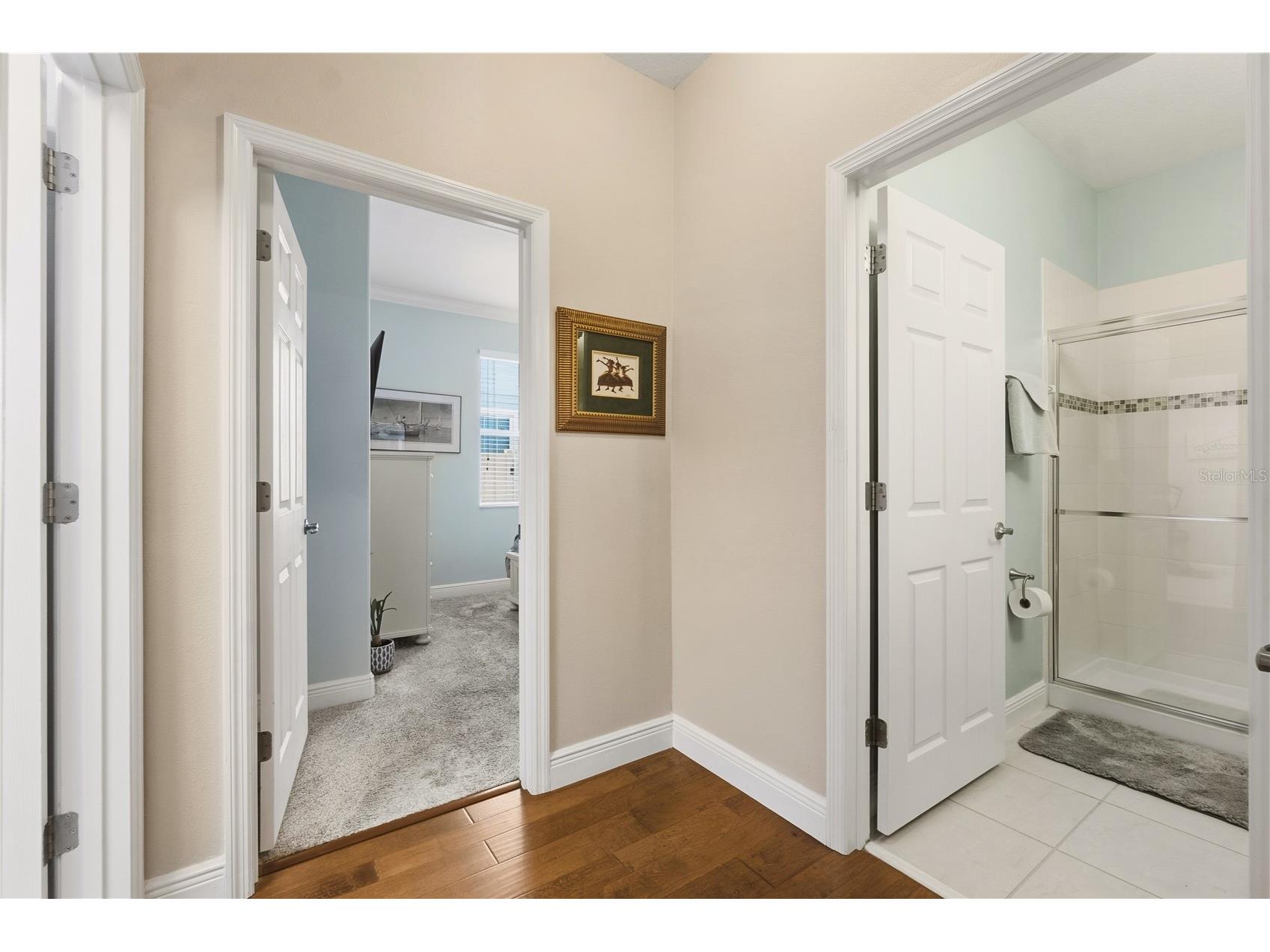 14378 Black Lake Preserve Street Winter Garden FL 34787 O6414181 image24