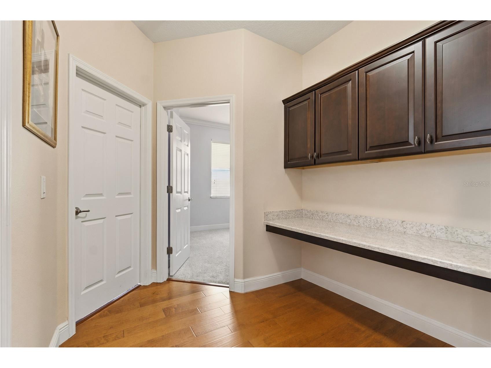 14378 Black Lake Preserve Street Winter Garden FL 34787 O6414181 image25