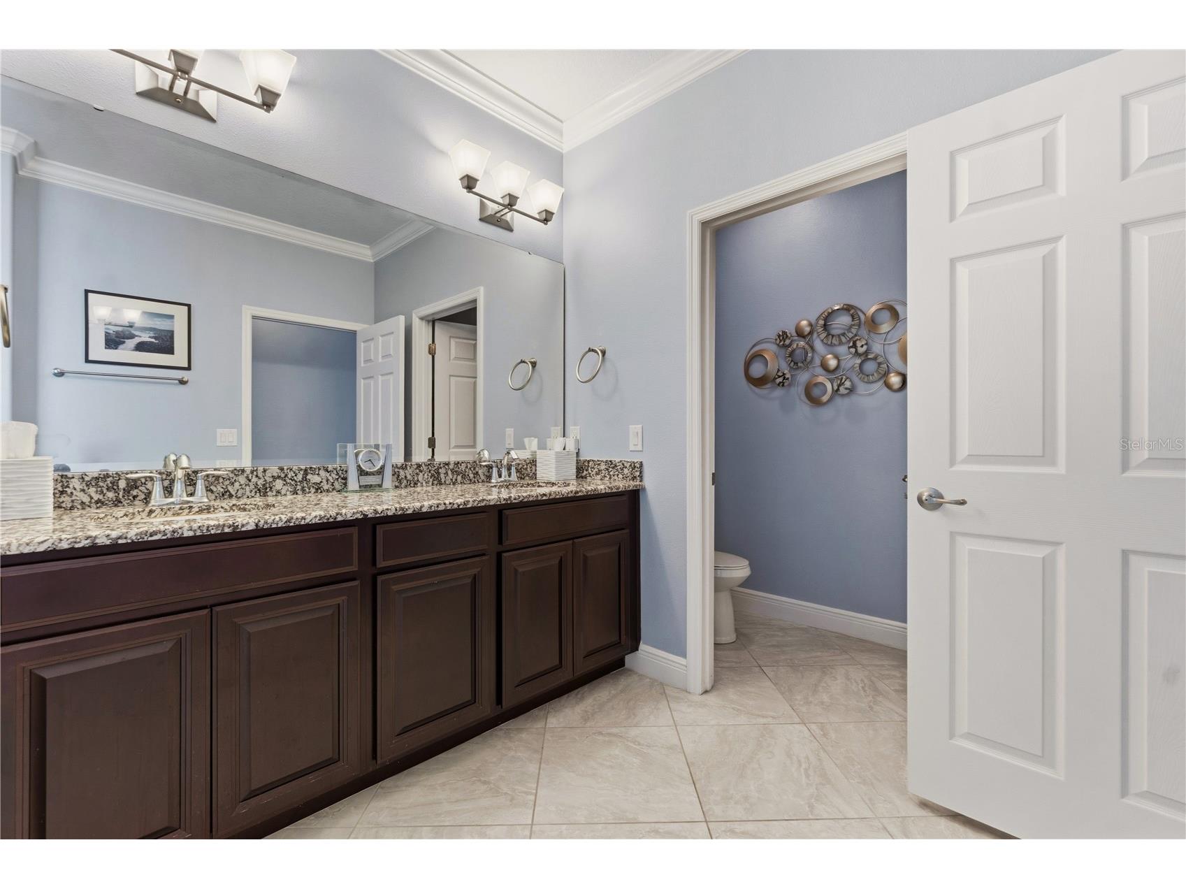 14378 Black Lake Preserve Street Winter Garden FL 34787 O6414181 image33