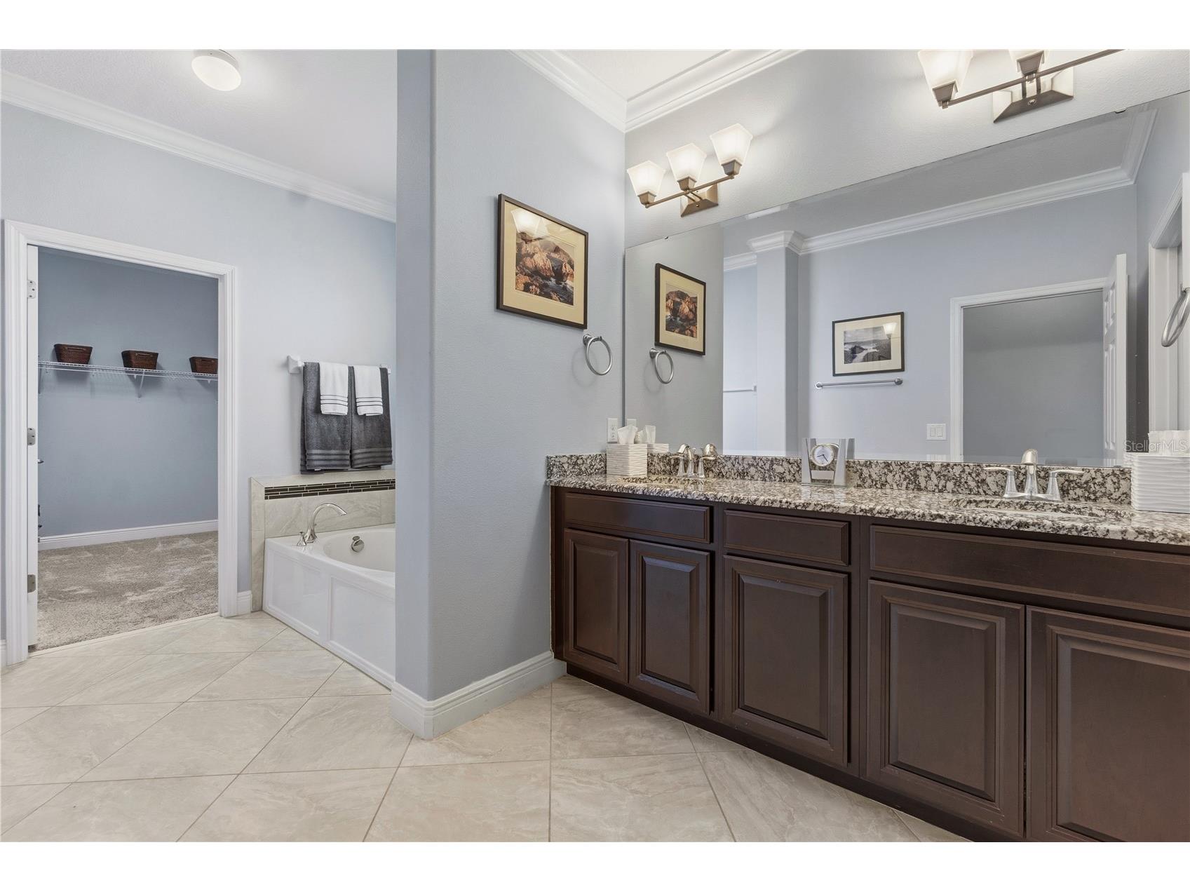 14378 Black Lake Preserve Street Winter Garden FL 34787 O6414181 image34