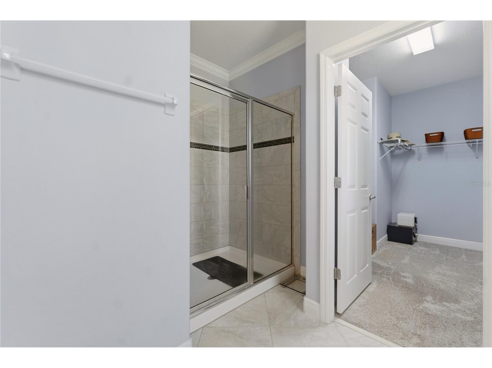 14378 Black Lake Preserve Street Winter Garden FL 34787 O6414181 image35